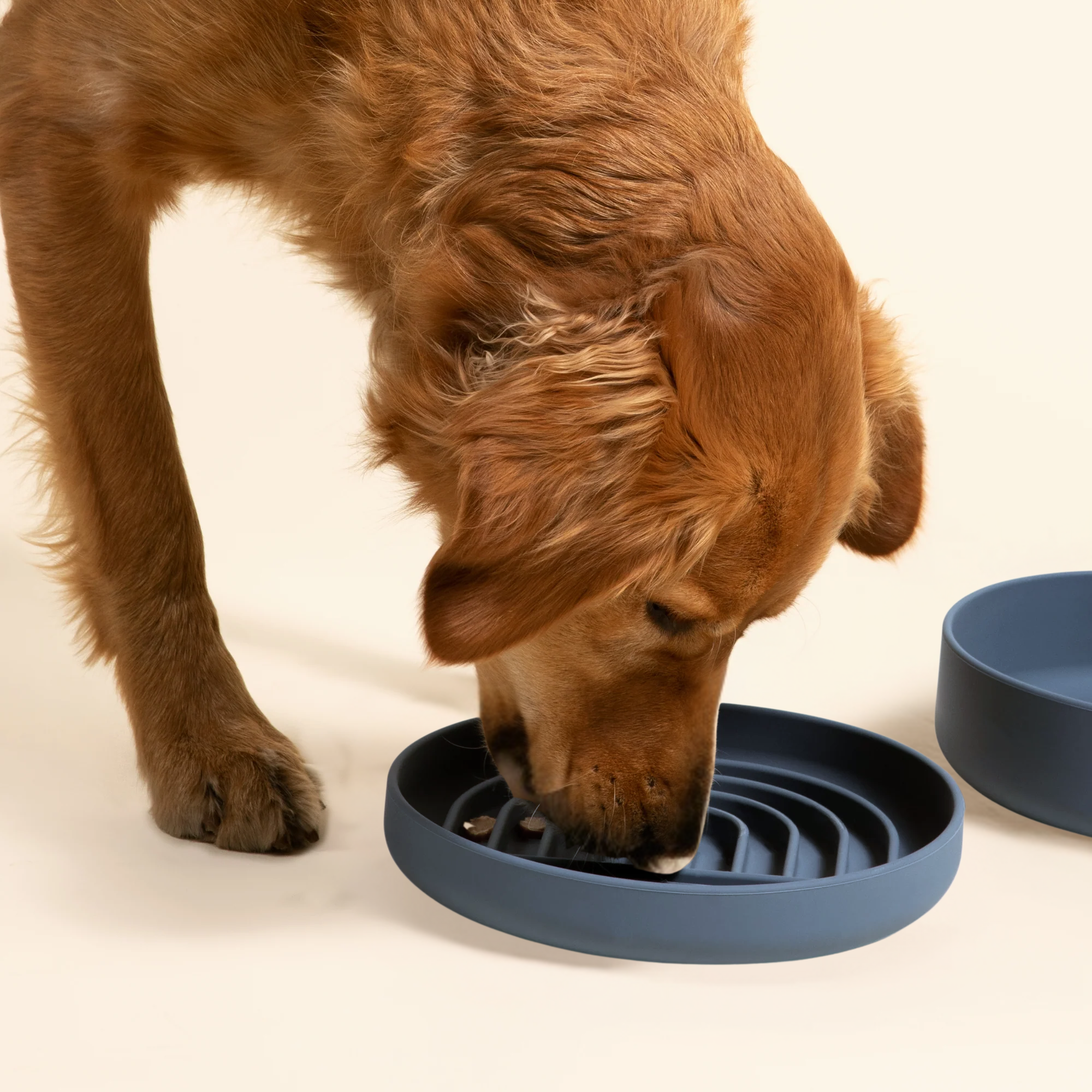 The Medium Slow Feeding Set