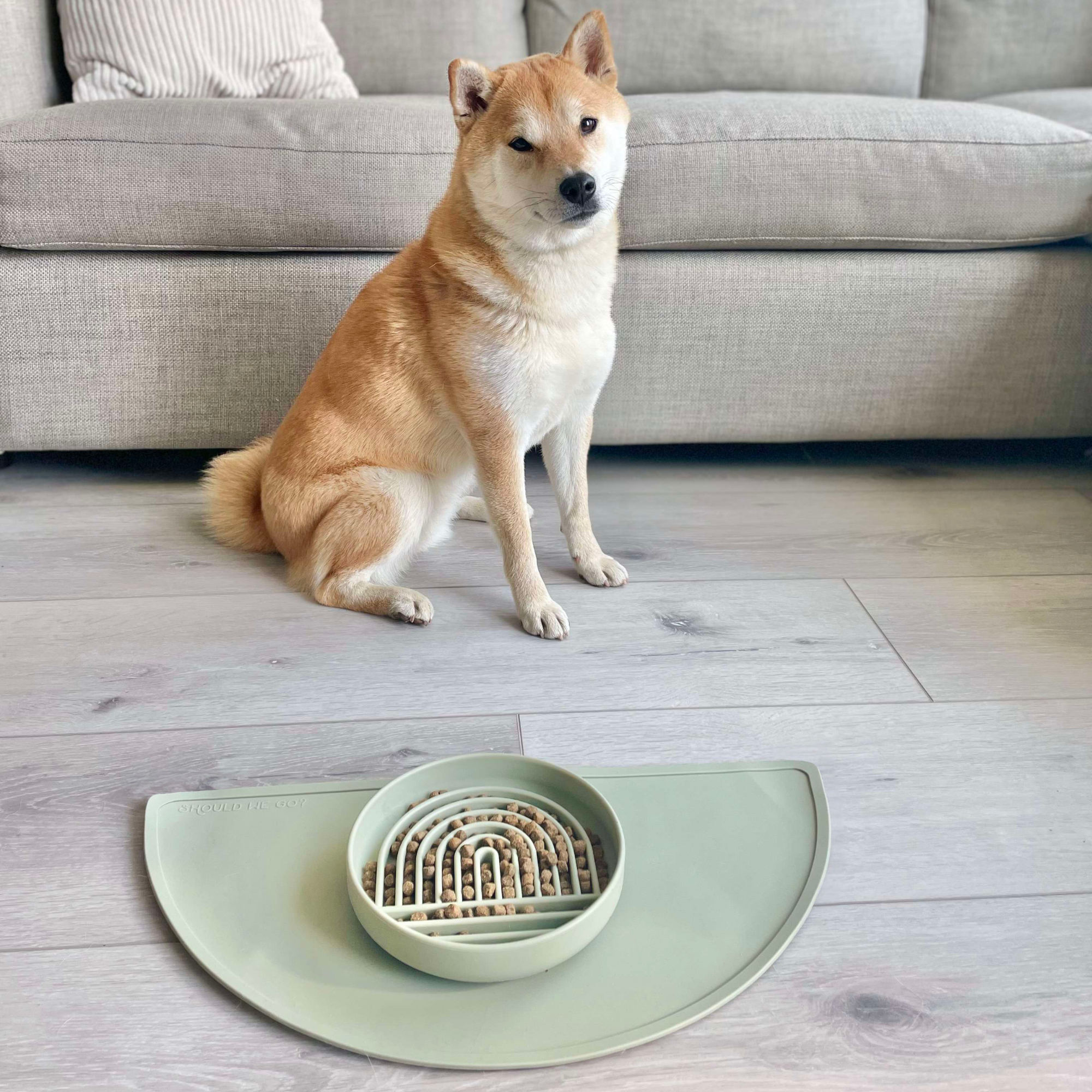 The Slowdown Bowl: Slow Feeder & Lick Mat
