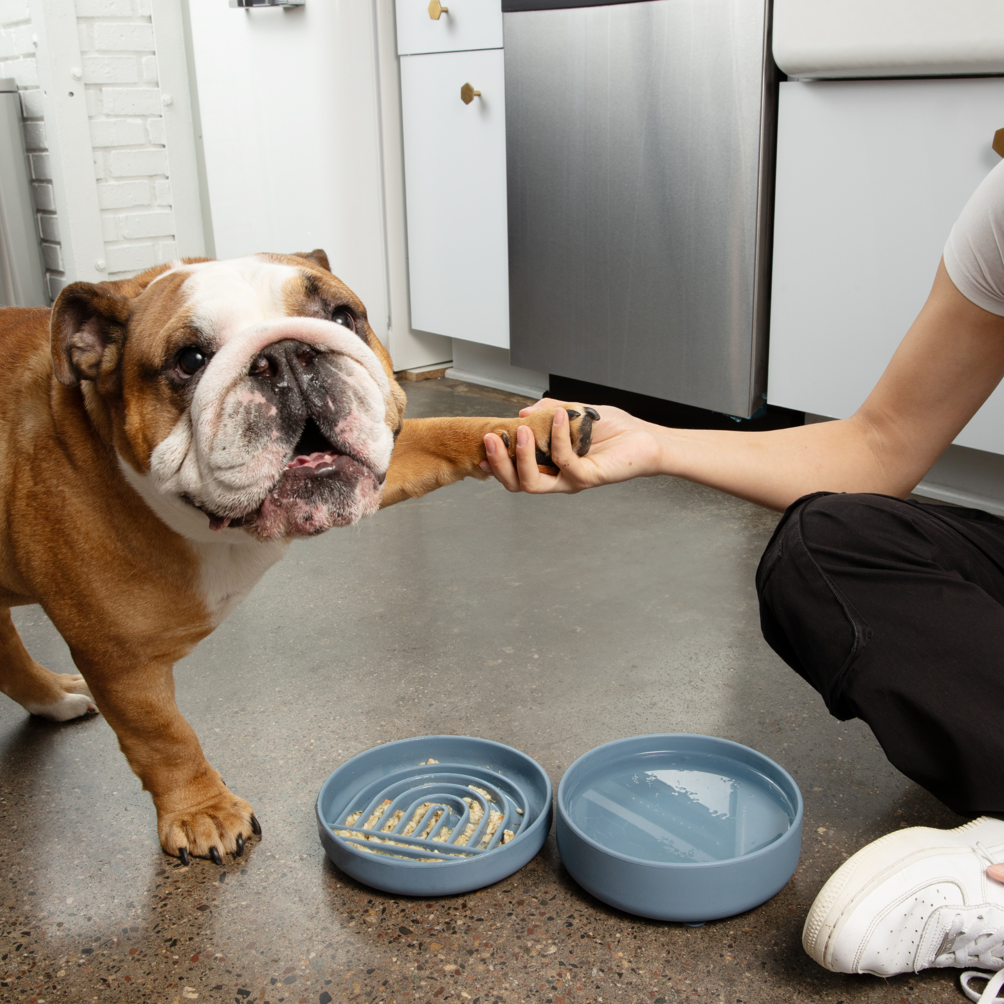 The Slowdown Bowl: Slow Feeder & Lick Mat