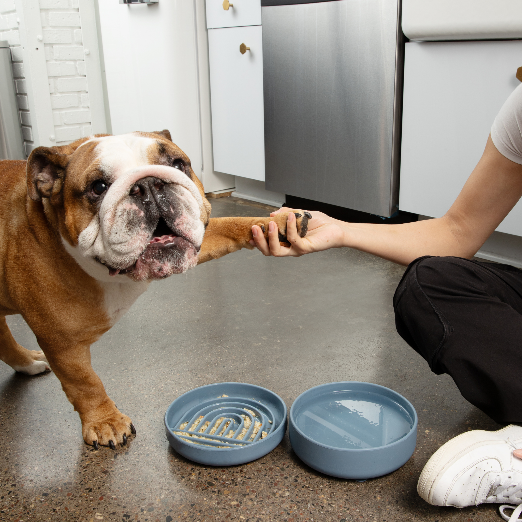 The Medium Slowdown Bowl: Slow Feeder &amp; Lick Mat