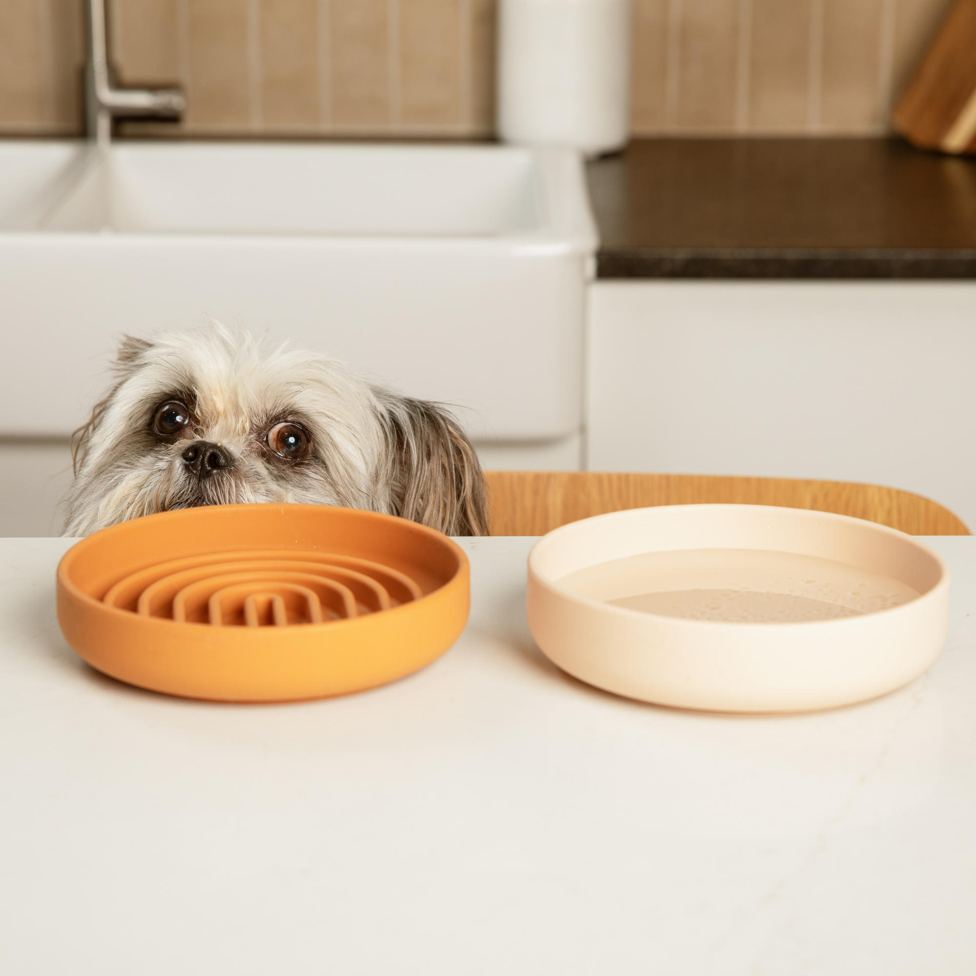 The Slowdown Bowl: Slow Feeder & Lick Mat