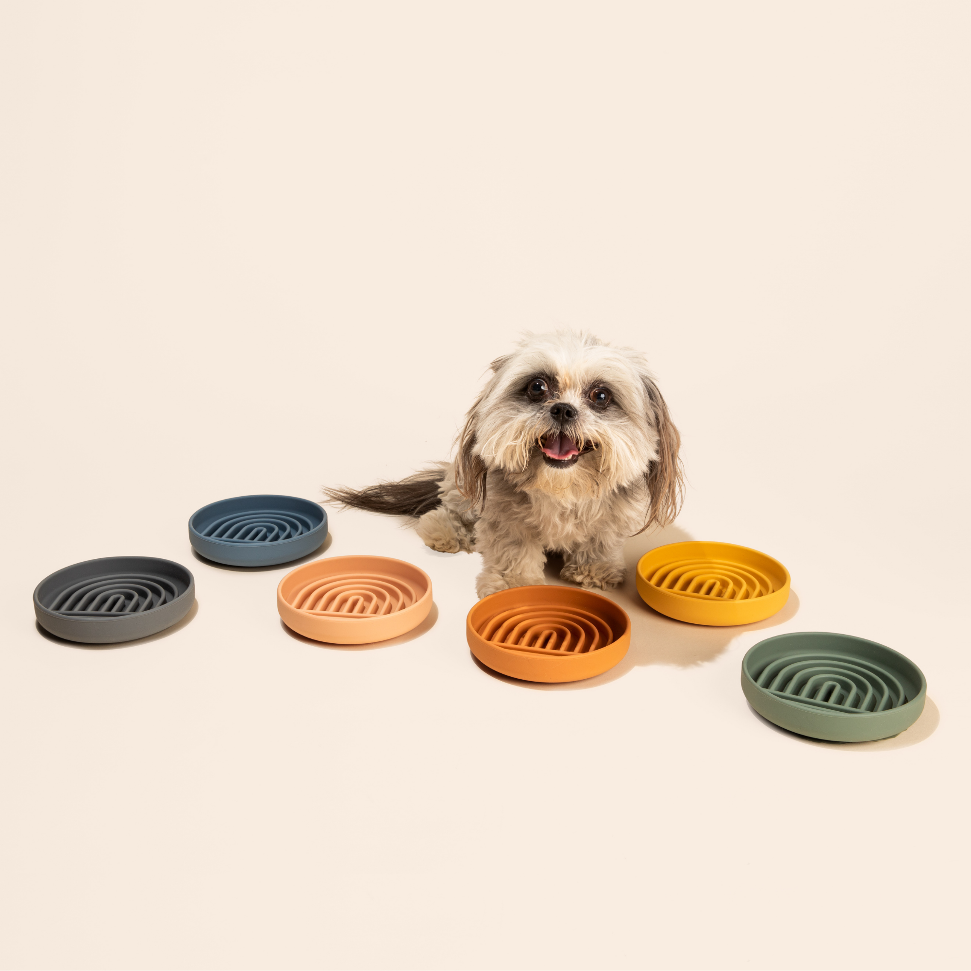 Slow Feeder Bundle: Buy 3 And Save