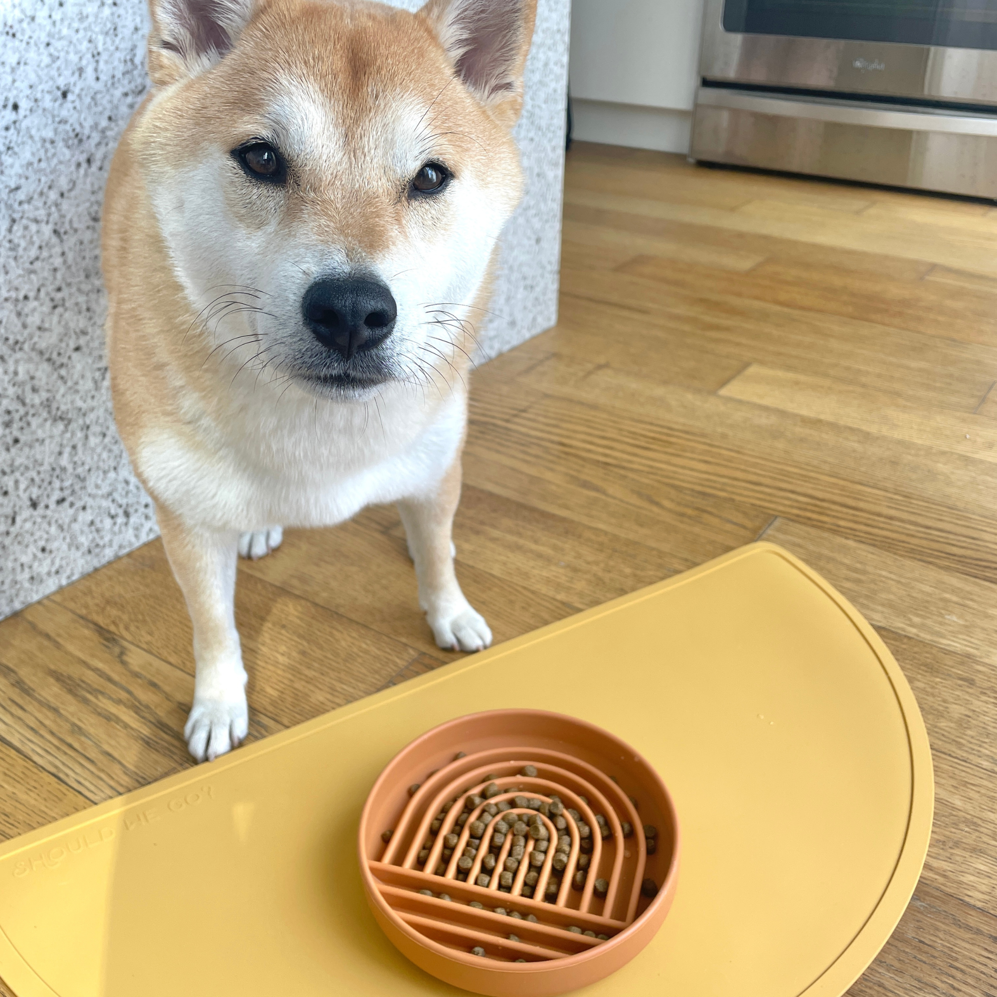 The Large Half Moon Mat: Silicone Dog Food Mat