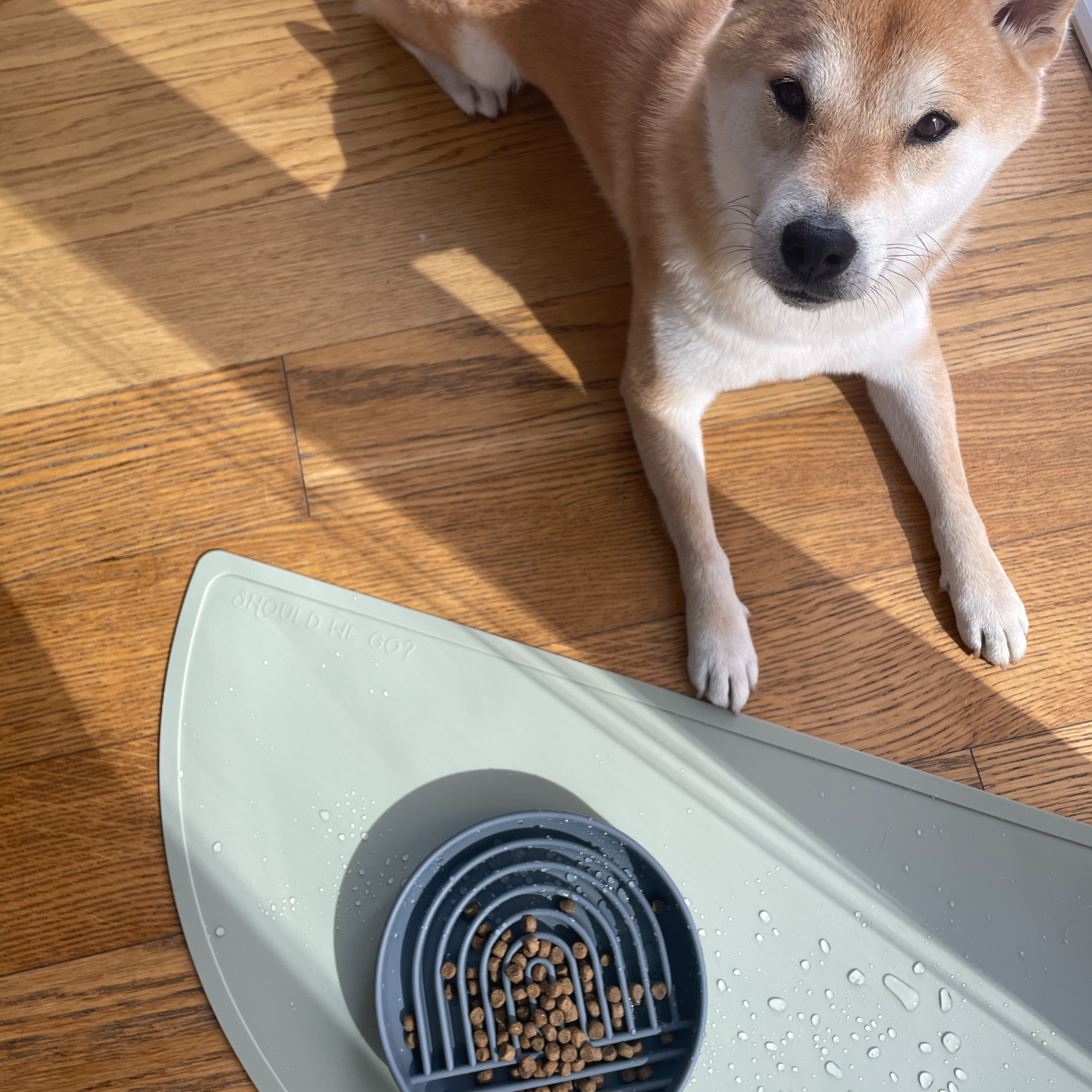 The Large Half Moon Mat: Silicone Dog Food Mat