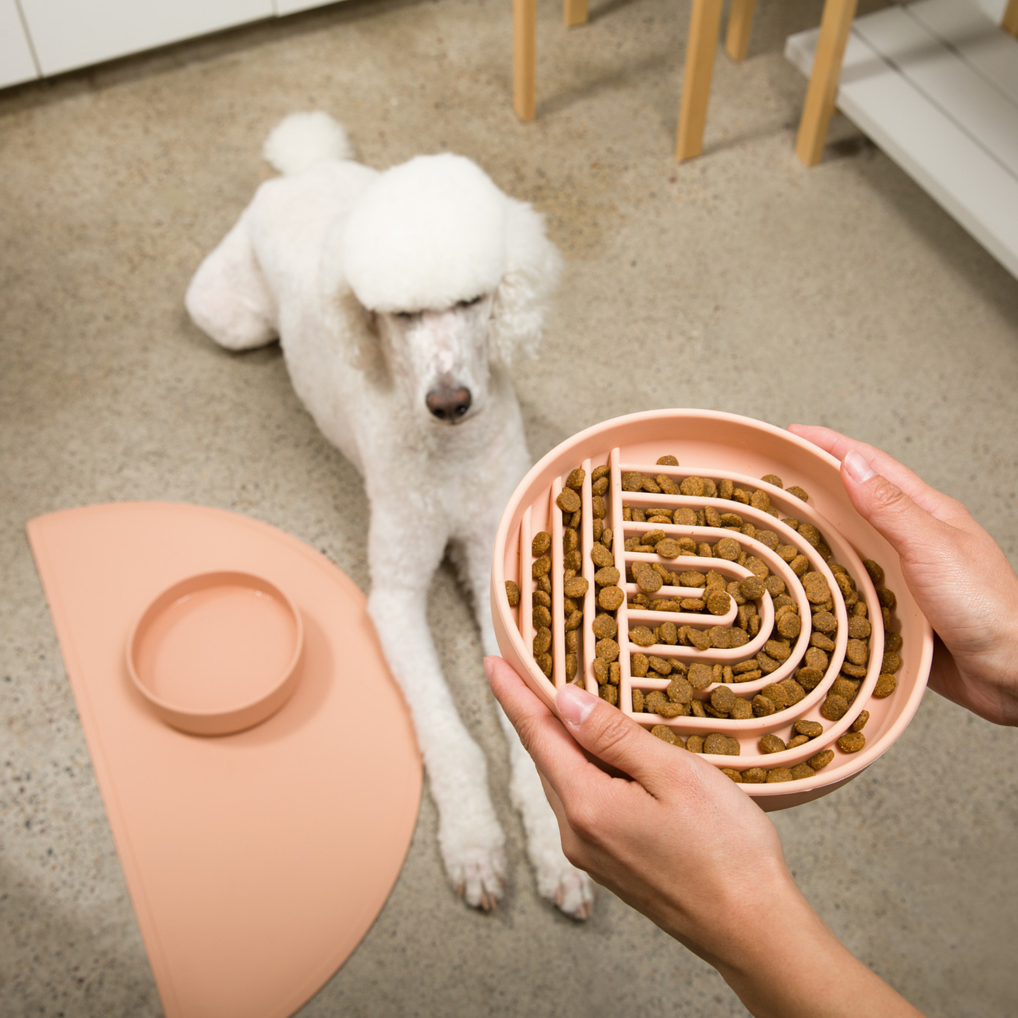 The Small Slow Feeding Set