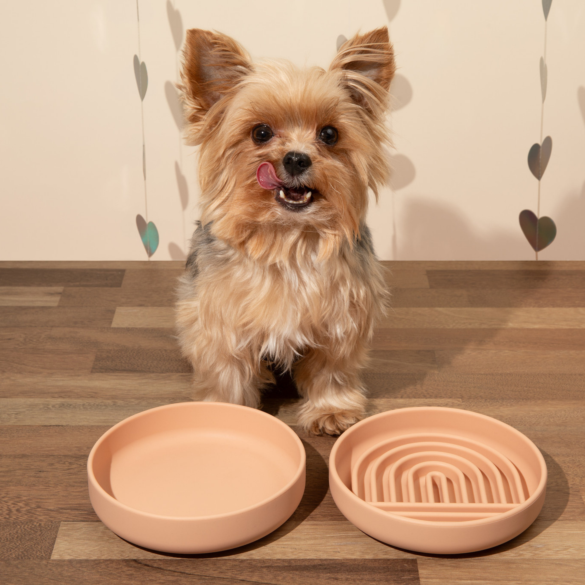 The Small Slow Feeding Set