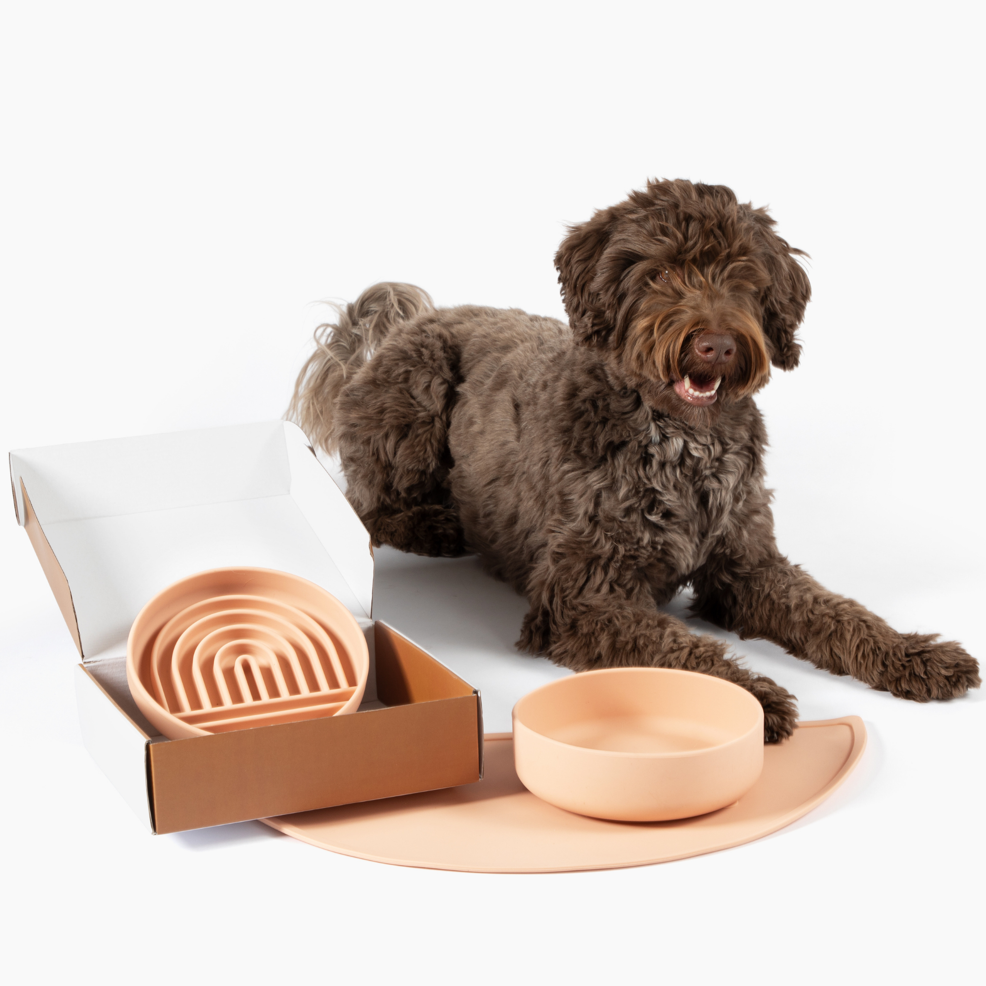 The Small Slow Feeding Set