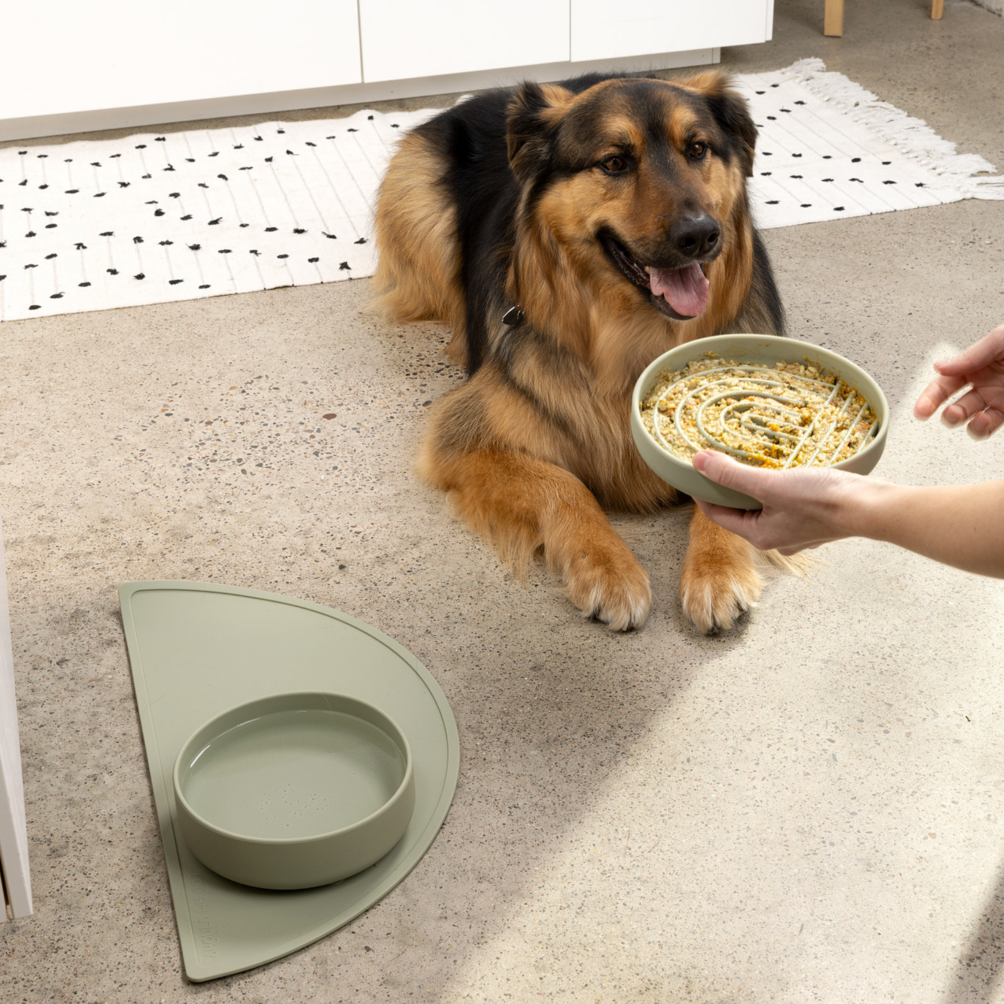 The Small Slow Feeding Set