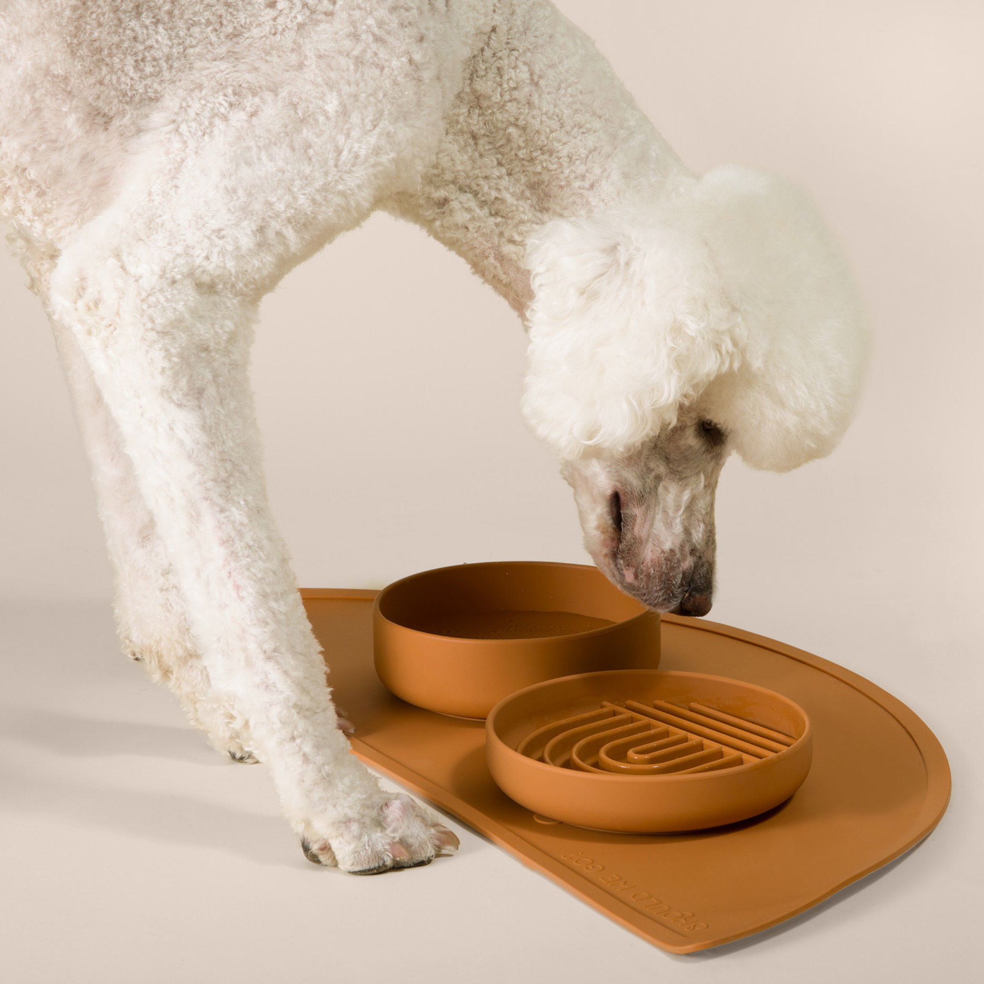 The Small Slow Feeding Set