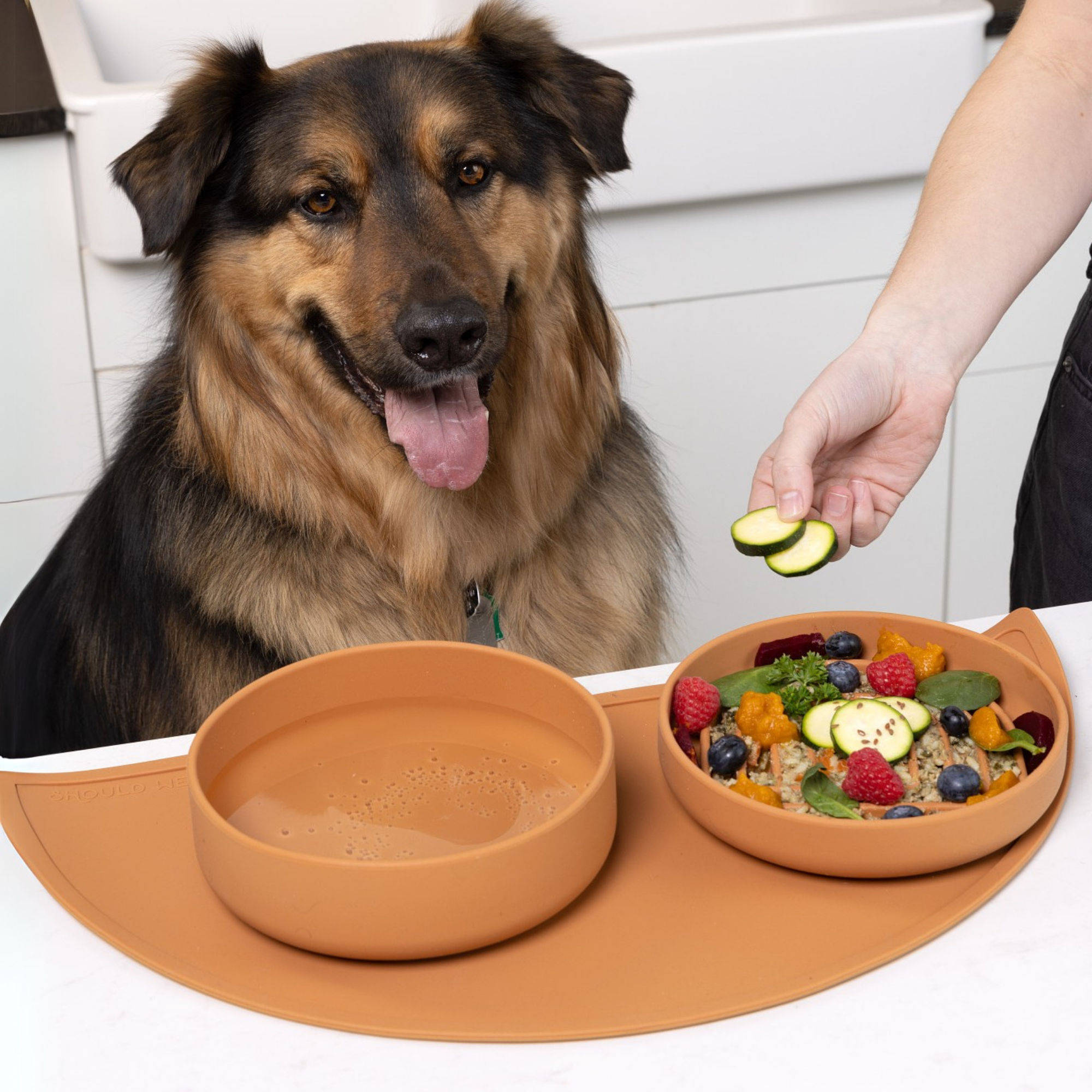 The Small Slow Feeding Set