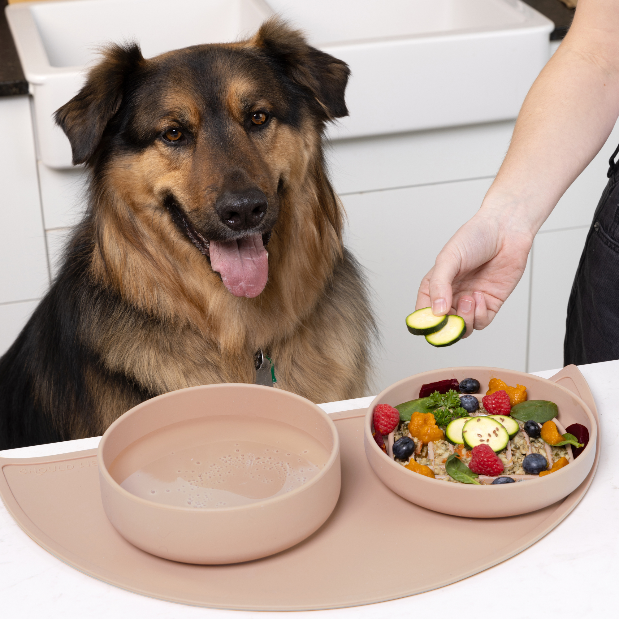 The Slowdown Bowl: Slow Feeder & Lick Mat