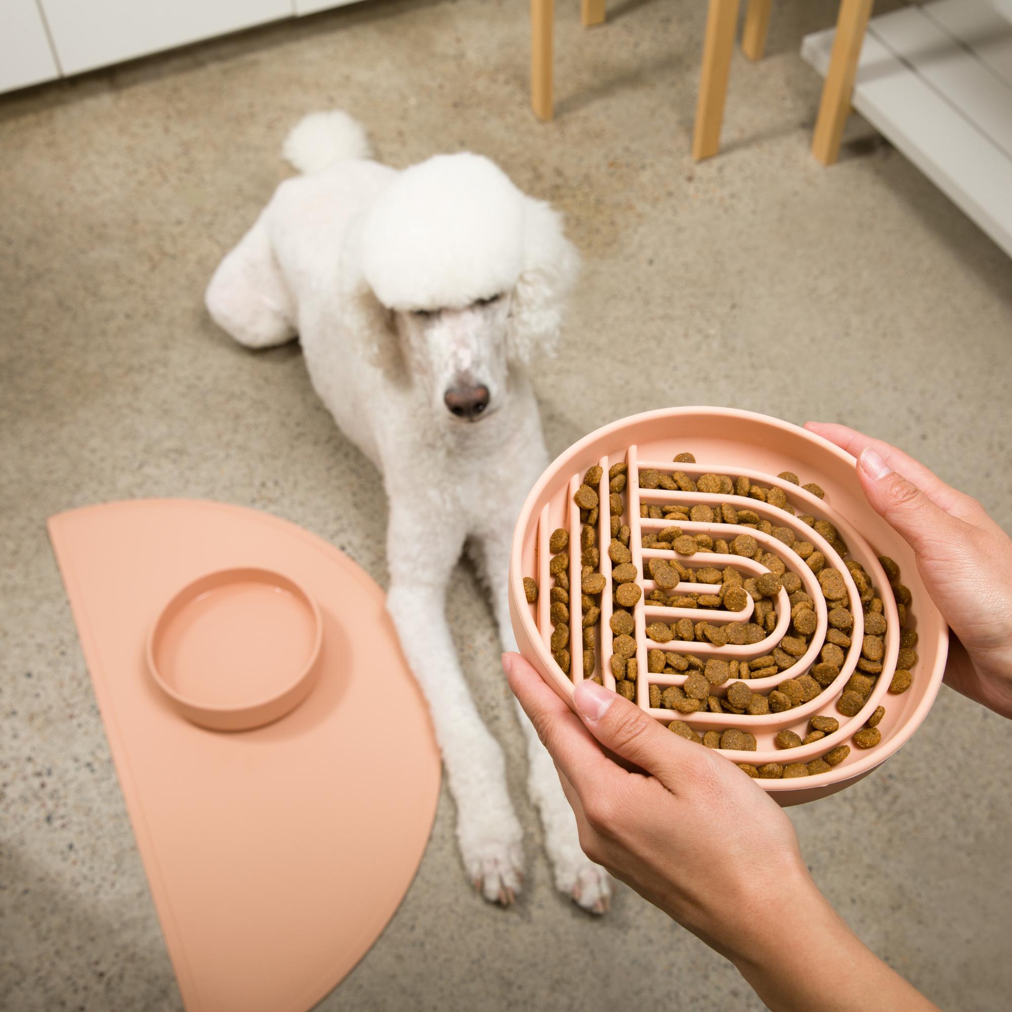 The Slowdown Bowl: Slow Feeder & Lick Mat
