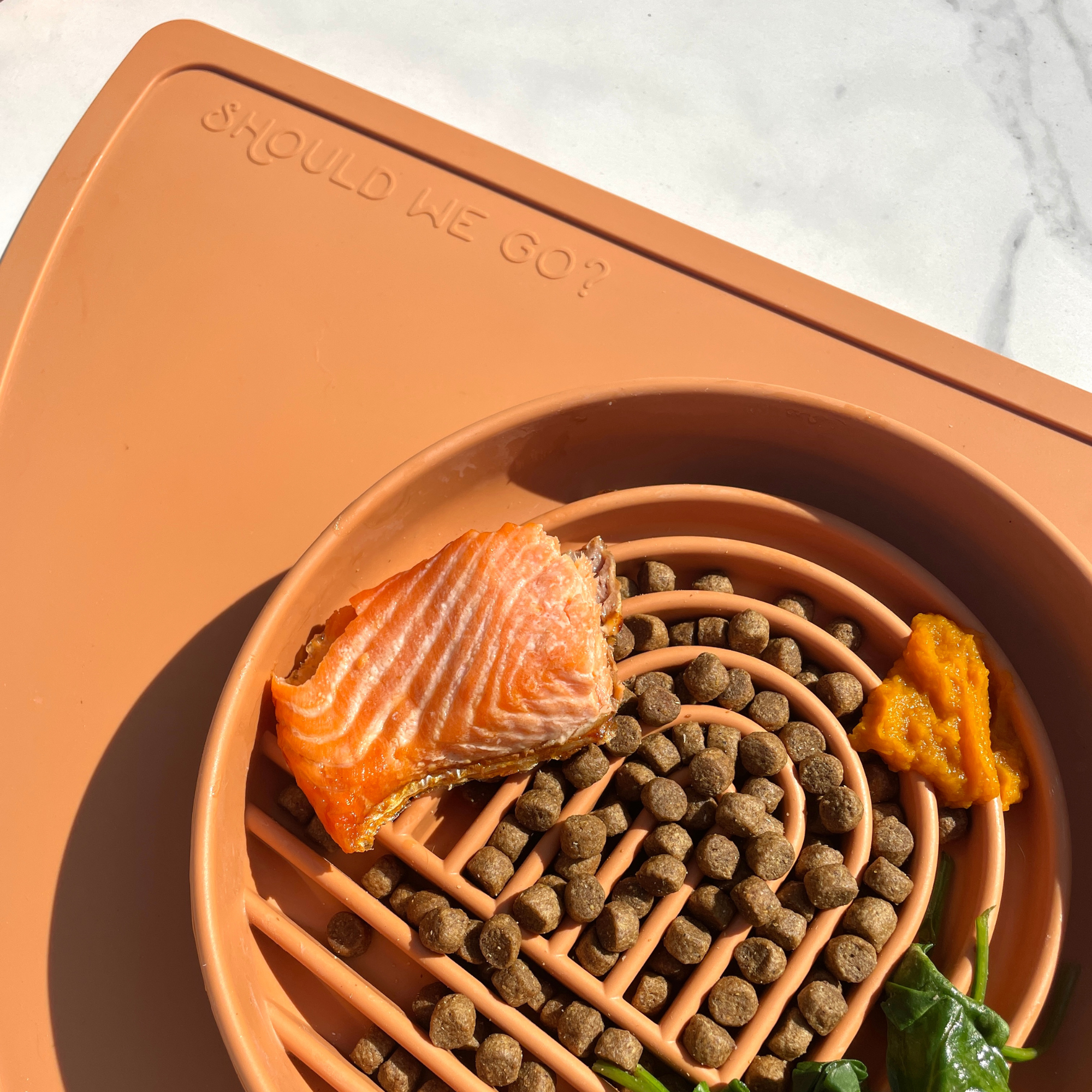 The Slowdown Bowl: Slow Feeder & Lick Mat