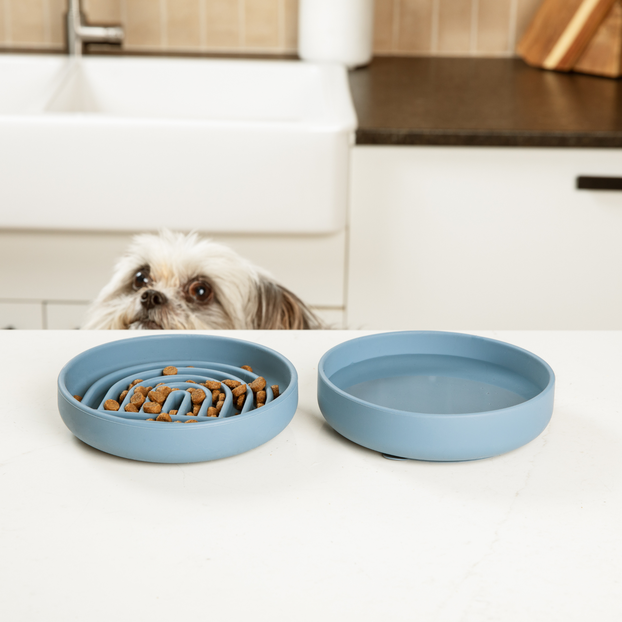 The Medium Slow Feeding Set