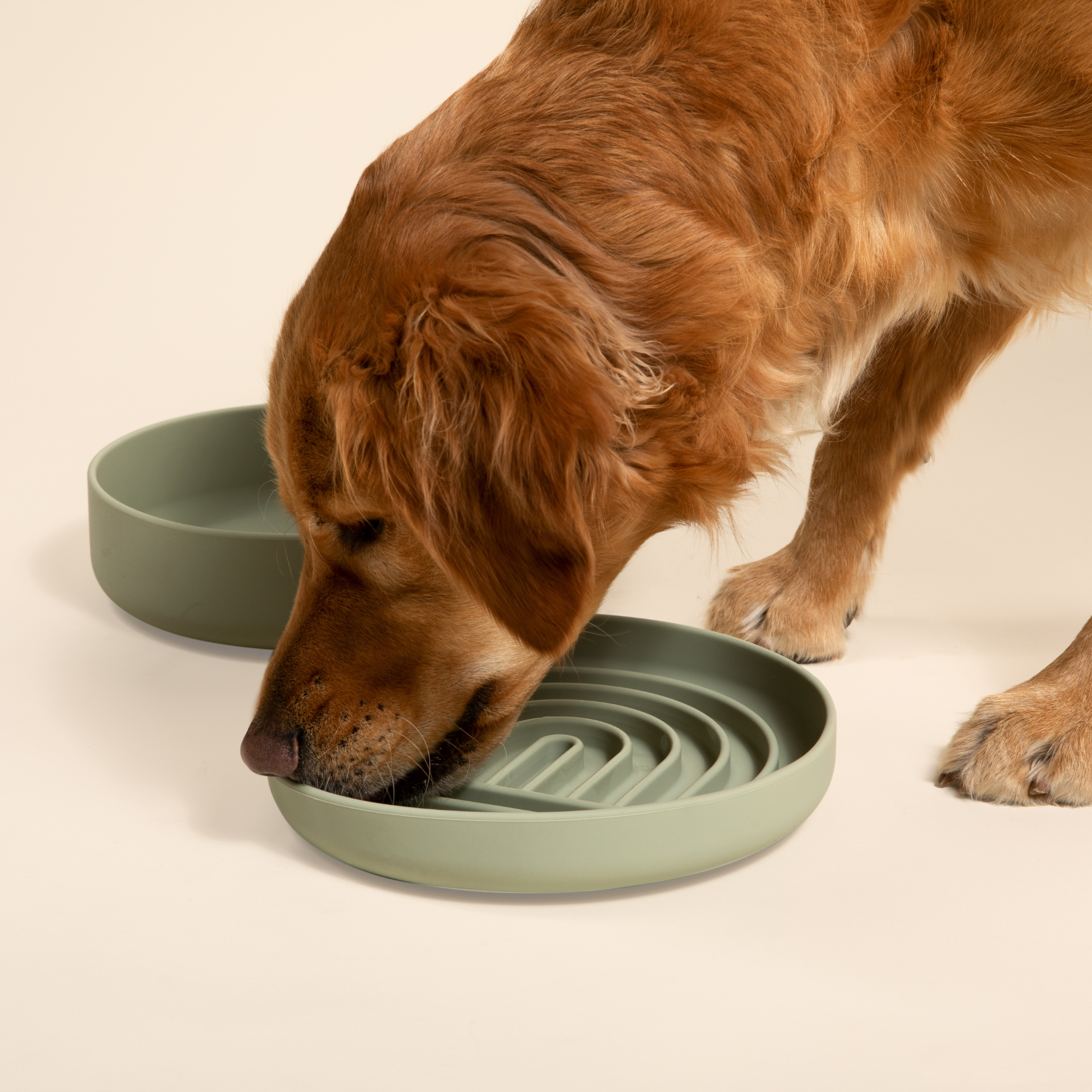 The Small Slow Feeding Set