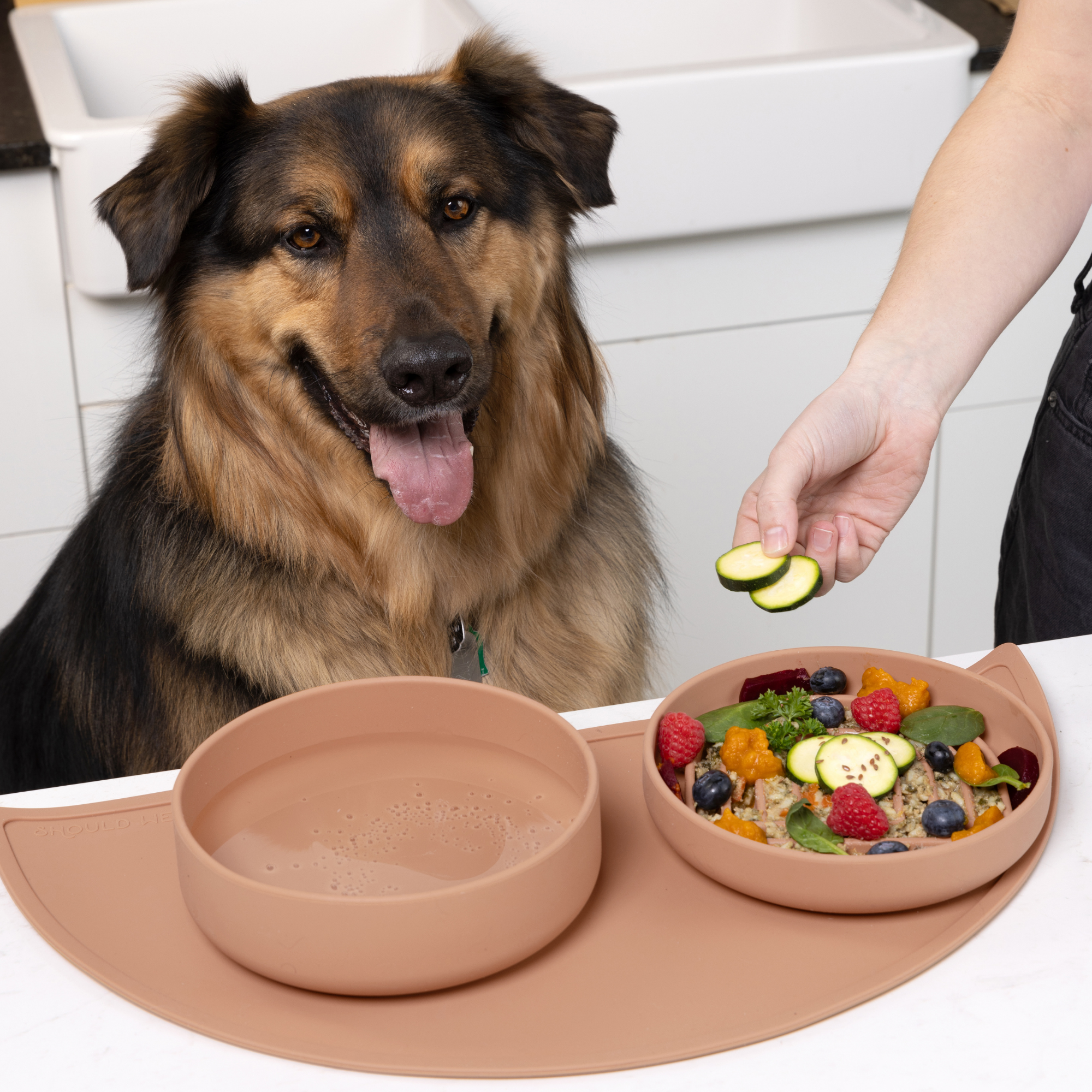 The Slowdown Bowl: Slow Feeder & Lick Mat