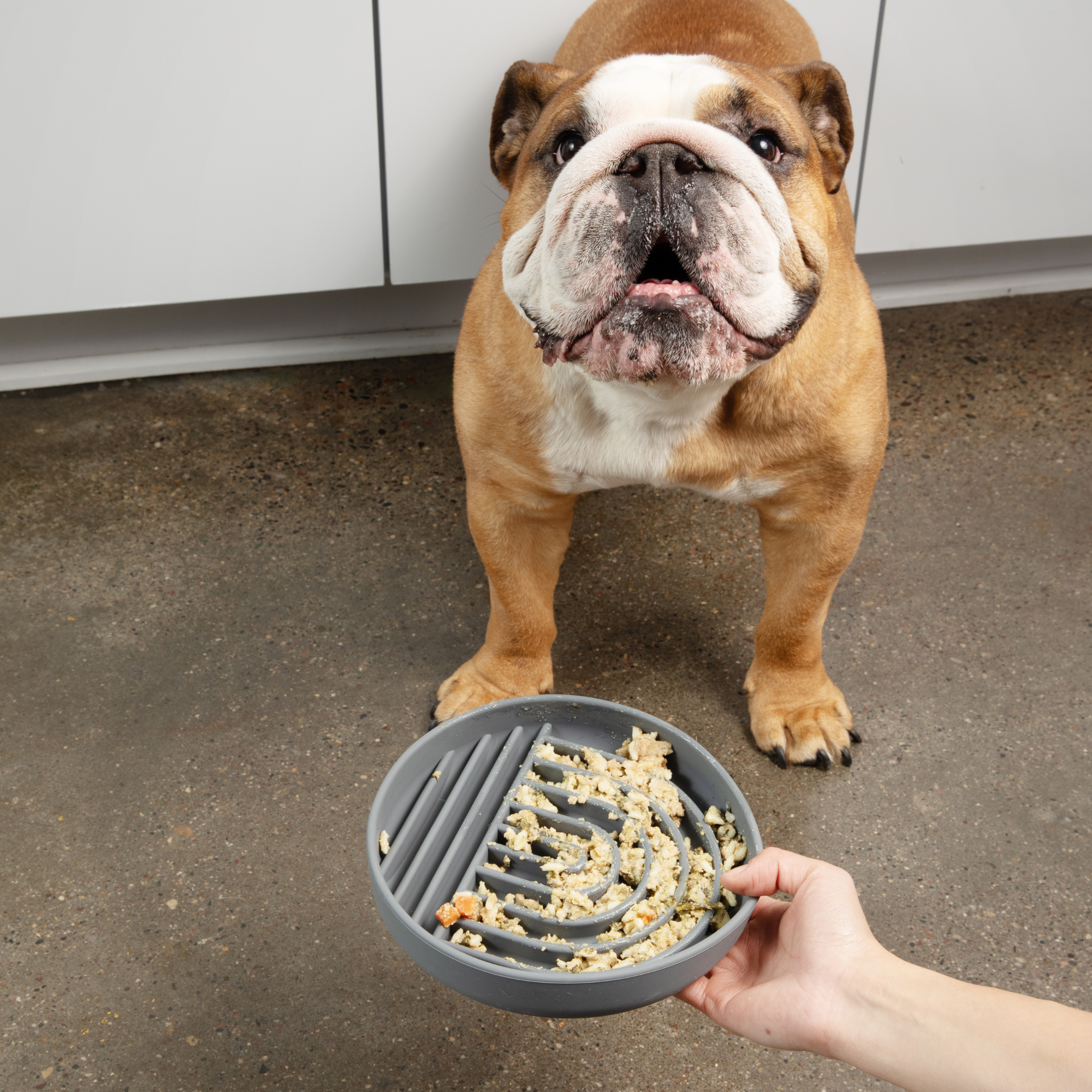 The Medium Slow Feeding Set