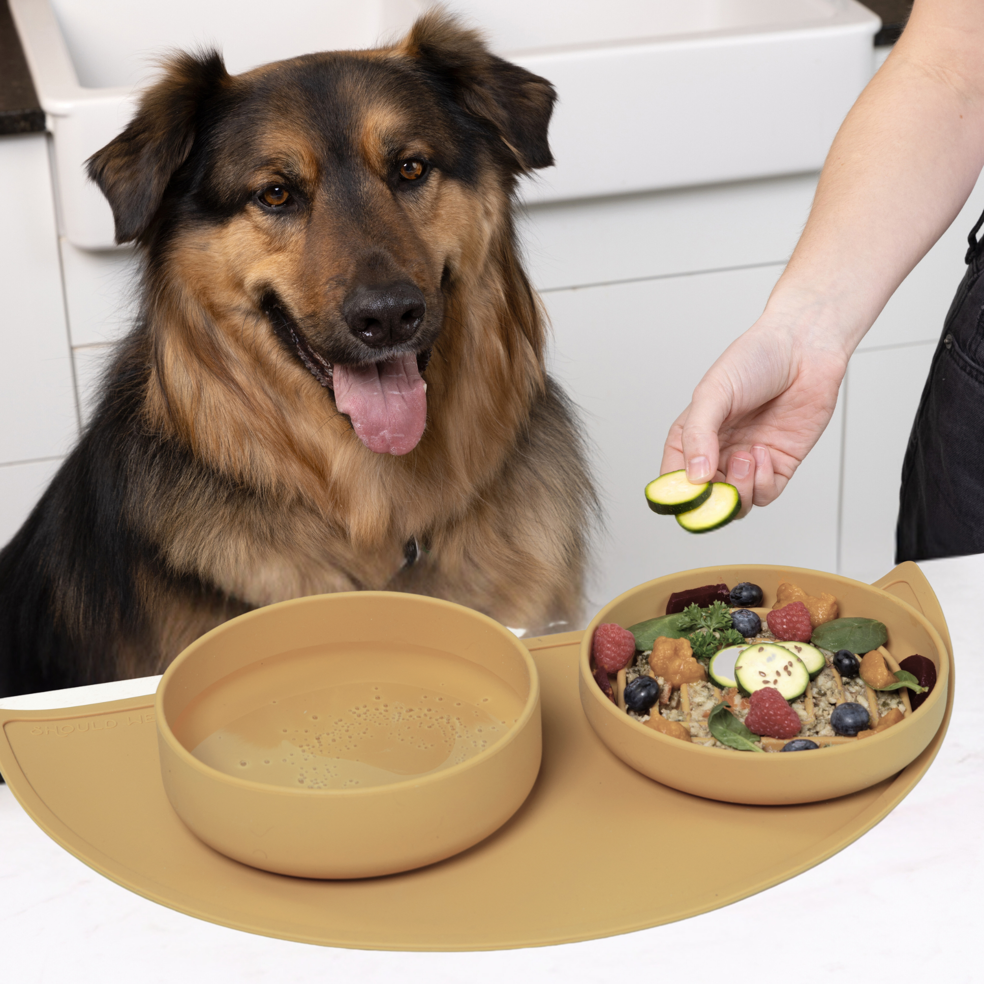 The Medium Slow Feeding Set