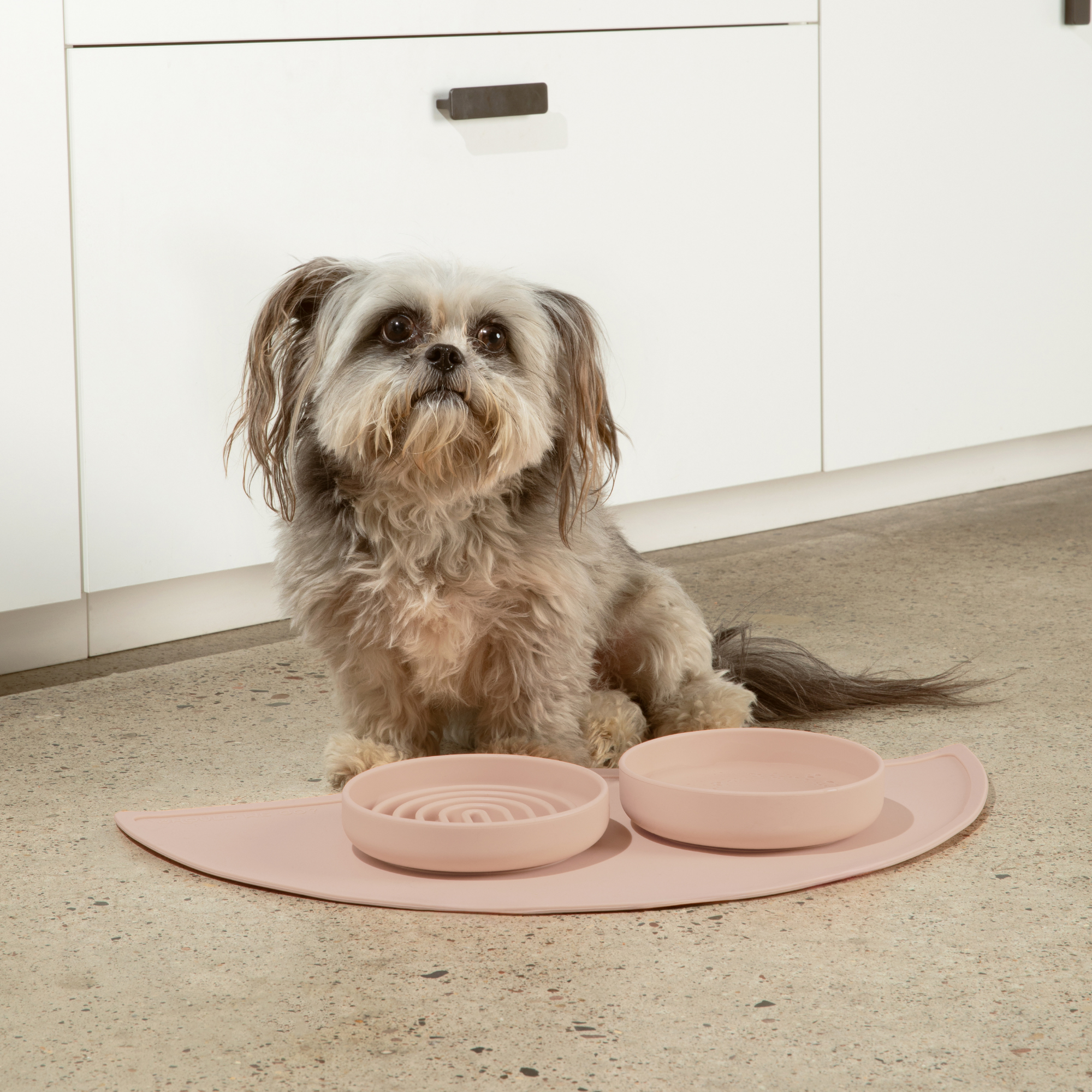 The Slowdown Bowl: Slow Feeder & Lick Mat
