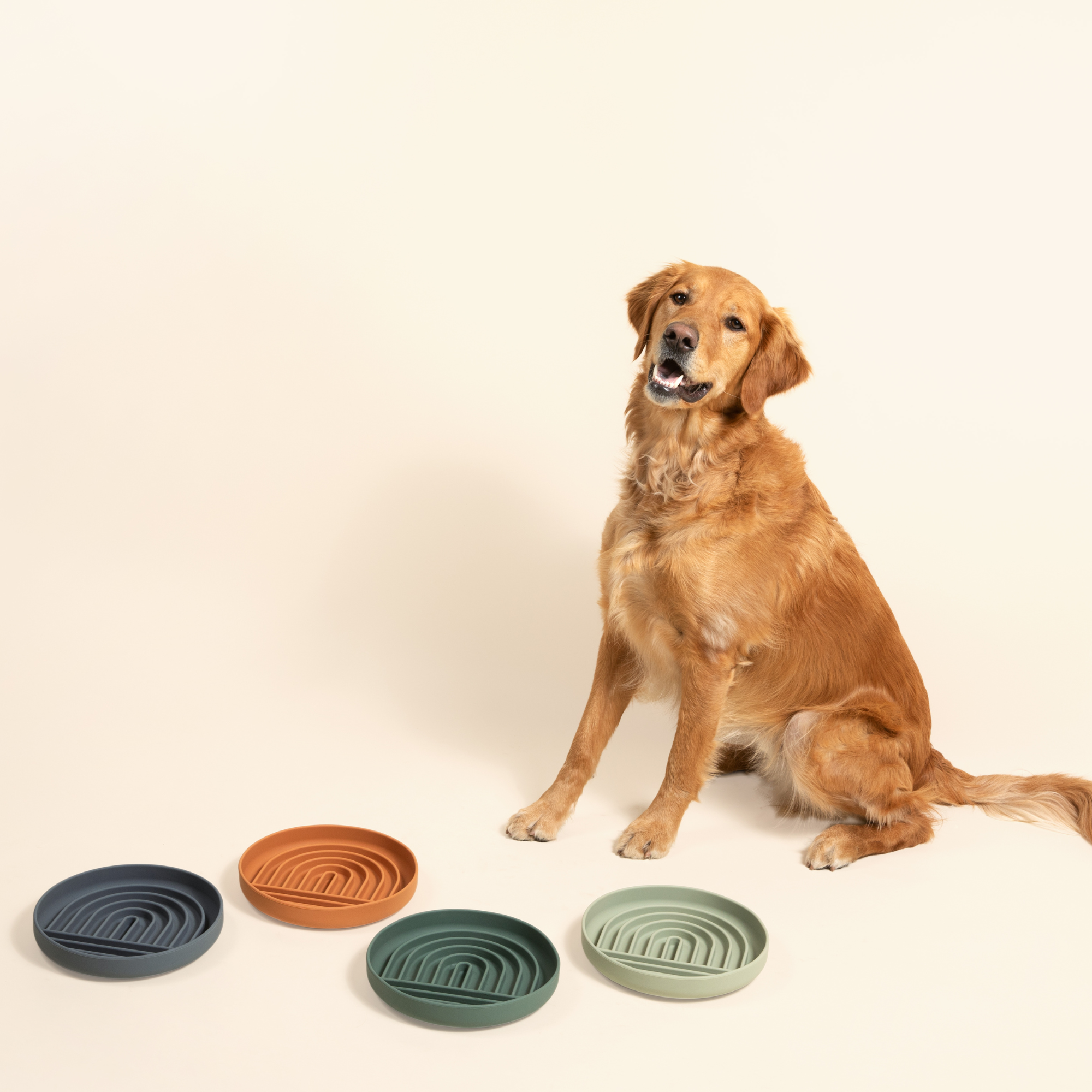 The Slowdown Bowl: Slow Feeder & Lick Mat