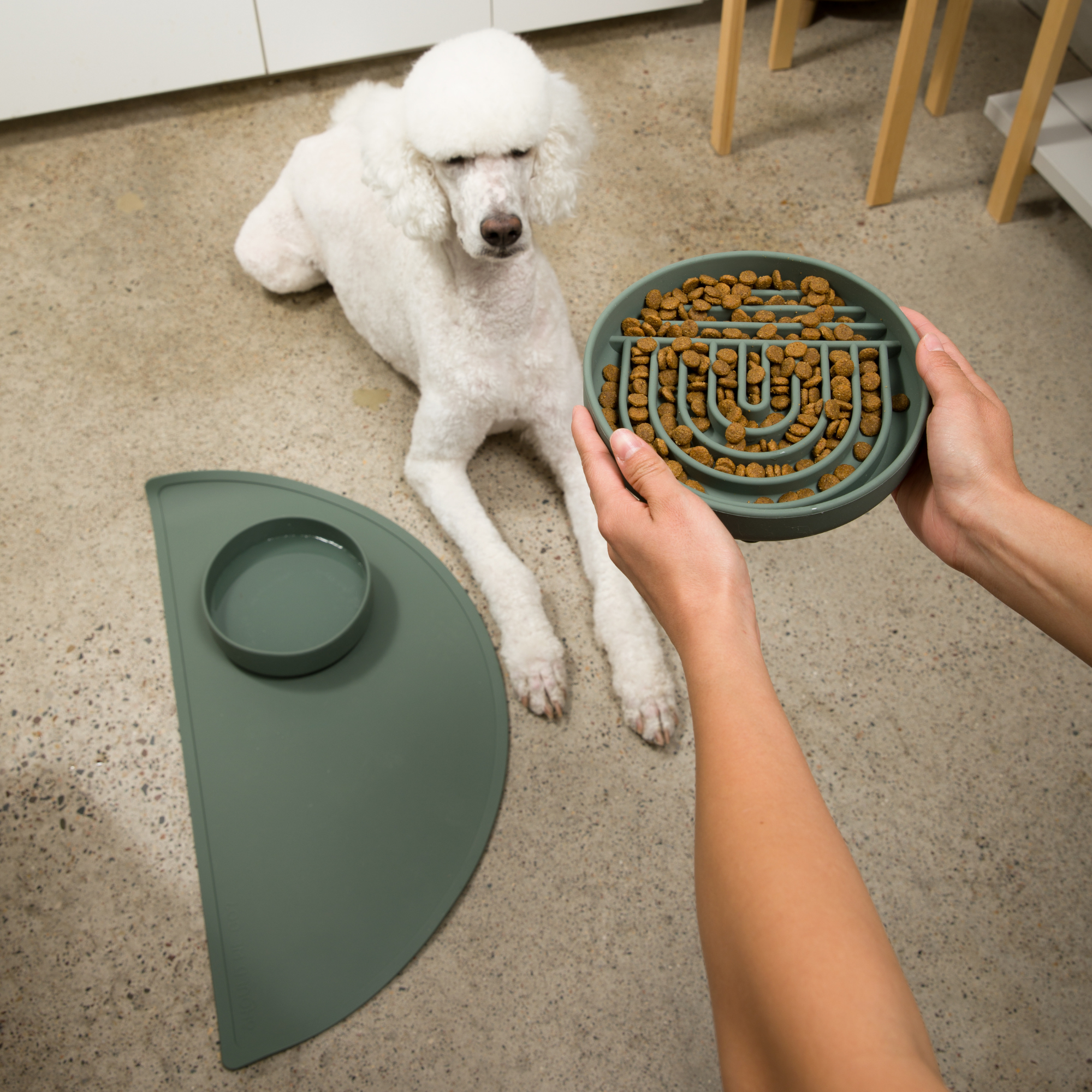 The Perfect Dish
