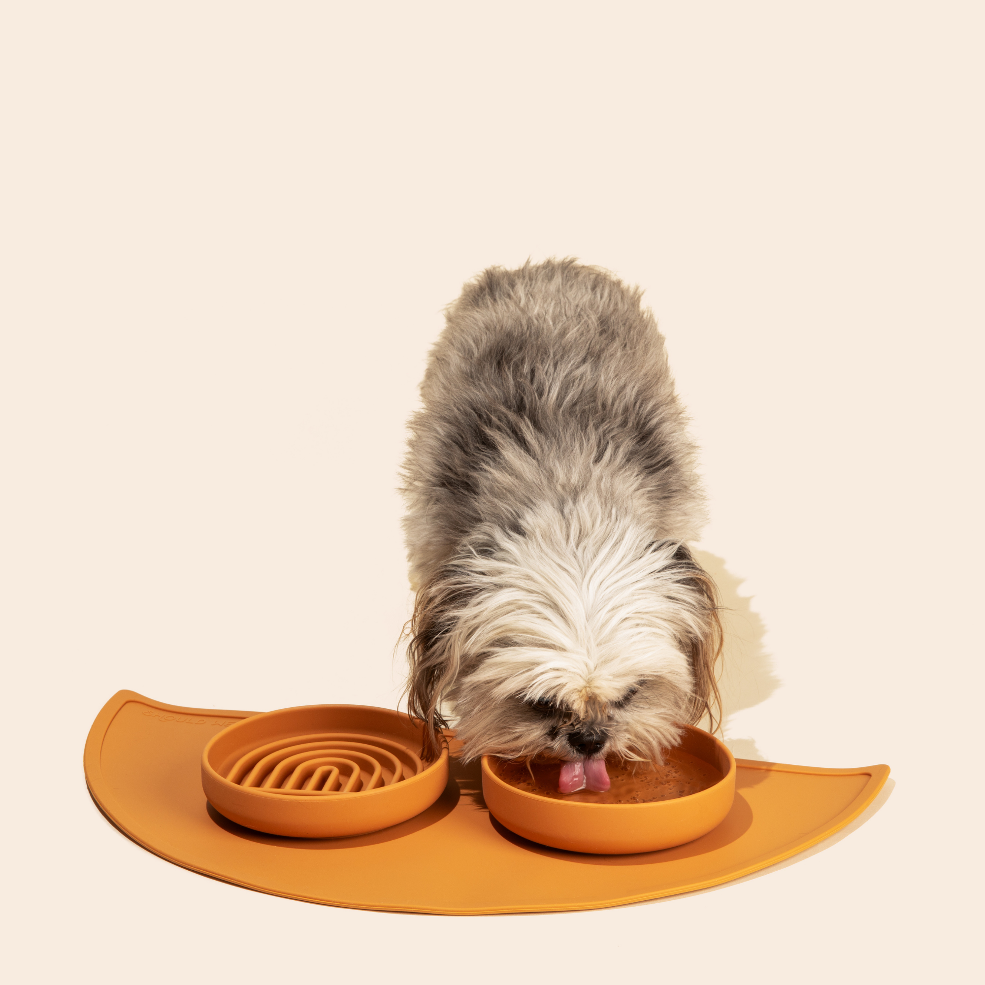The Perfect Dish