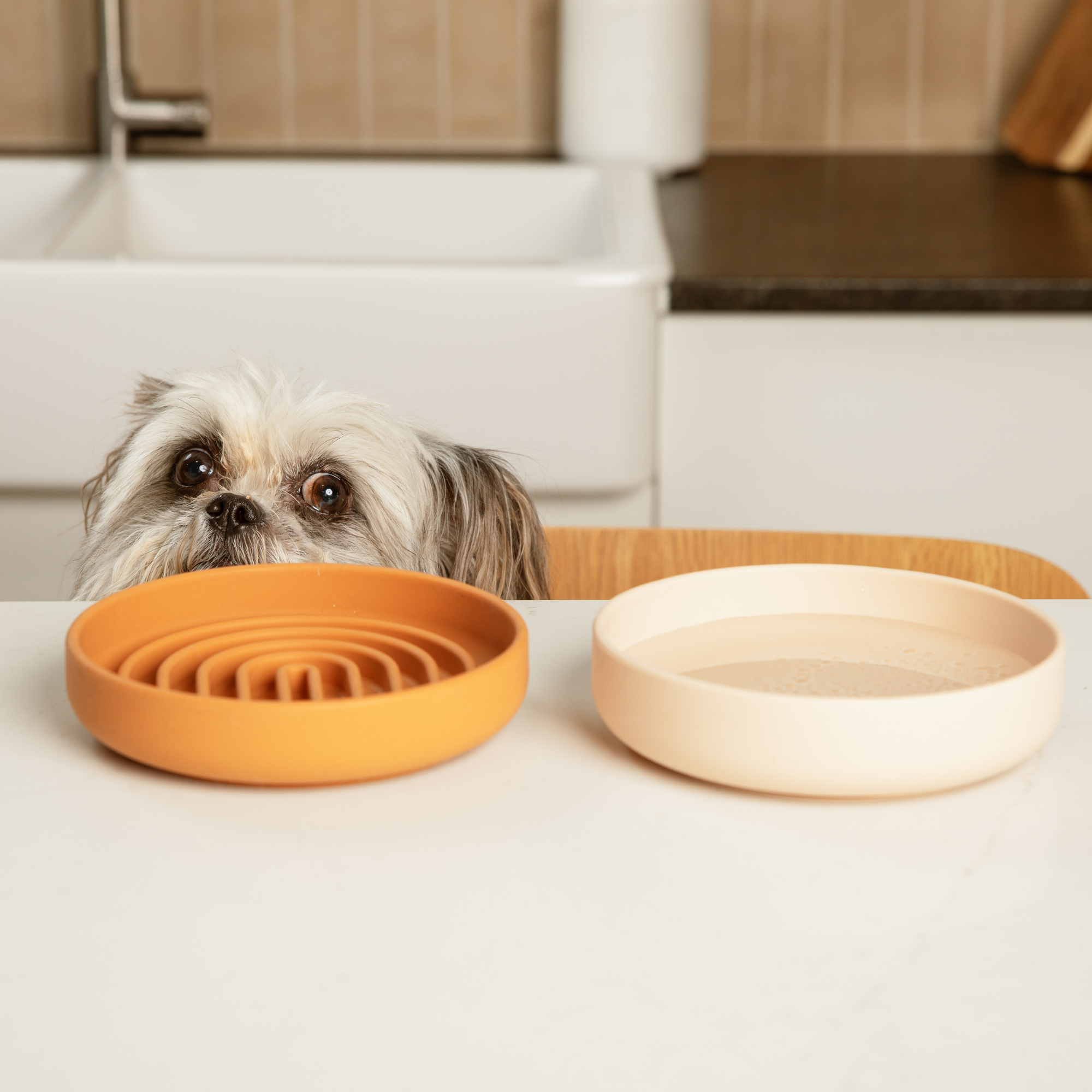 The Perfect Dish