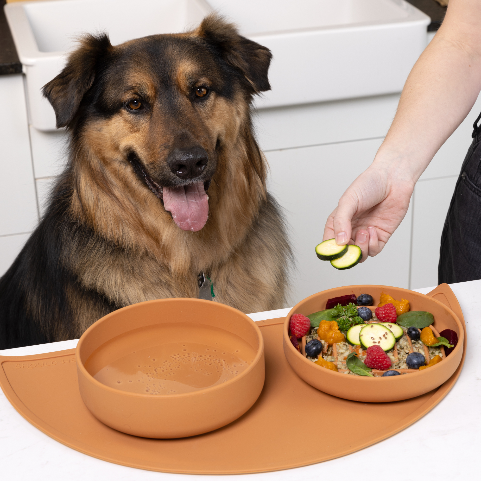 The Slowdown Bowl: Slow Feeder & Lick Mat