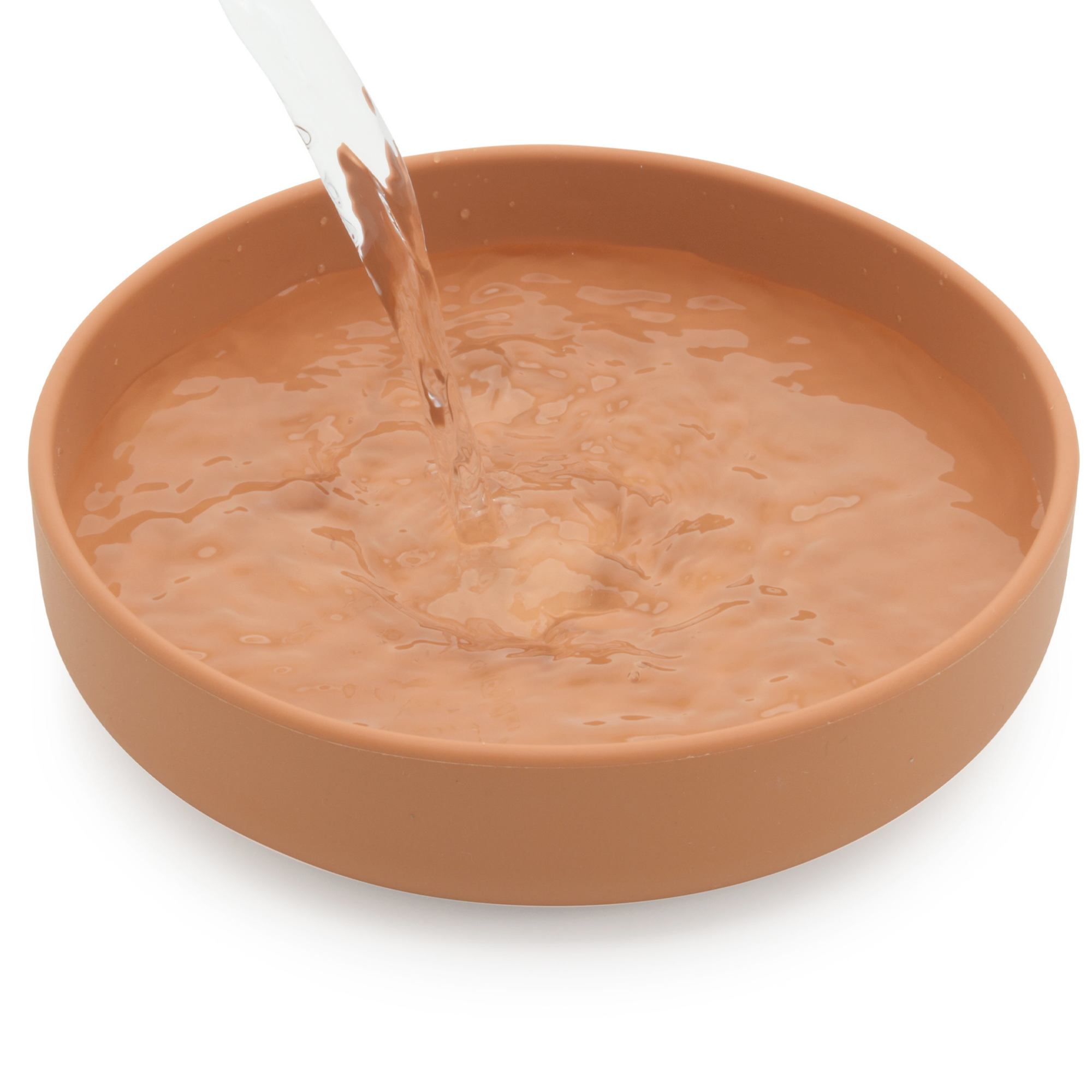The Perfect Dish