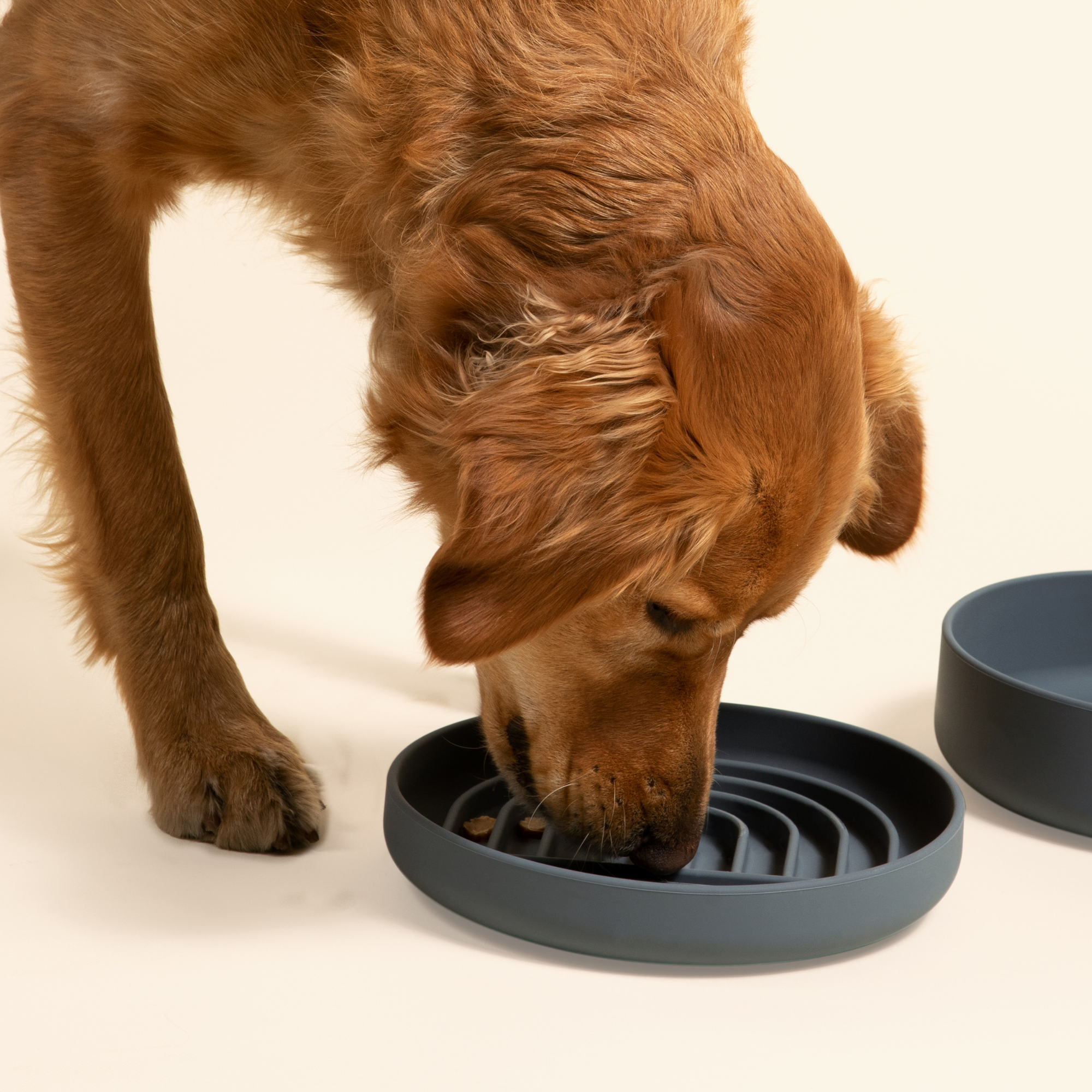 The Medium Slow Feeding Set