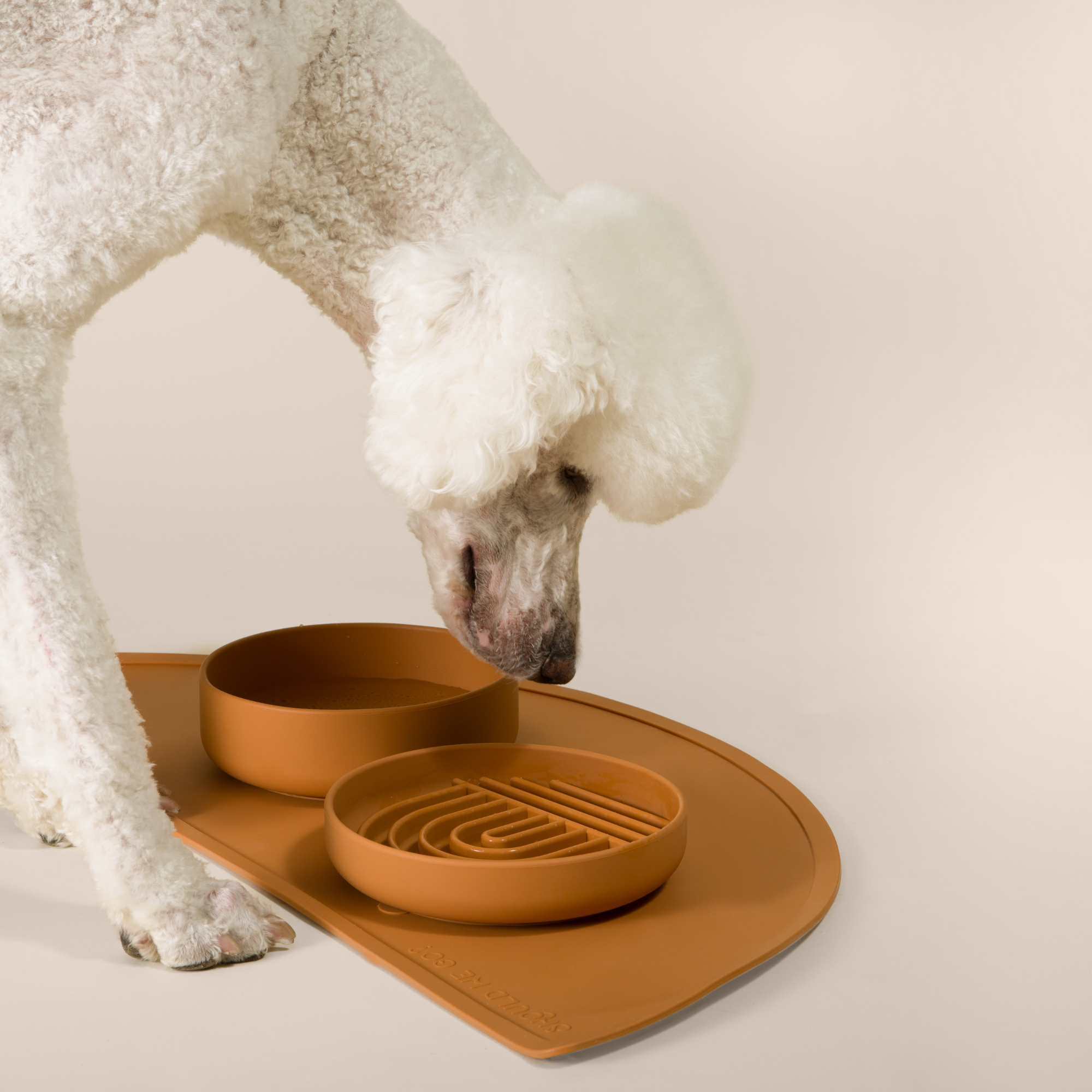 The Slowdown Bowl: Slow Feeder & Lick Mat