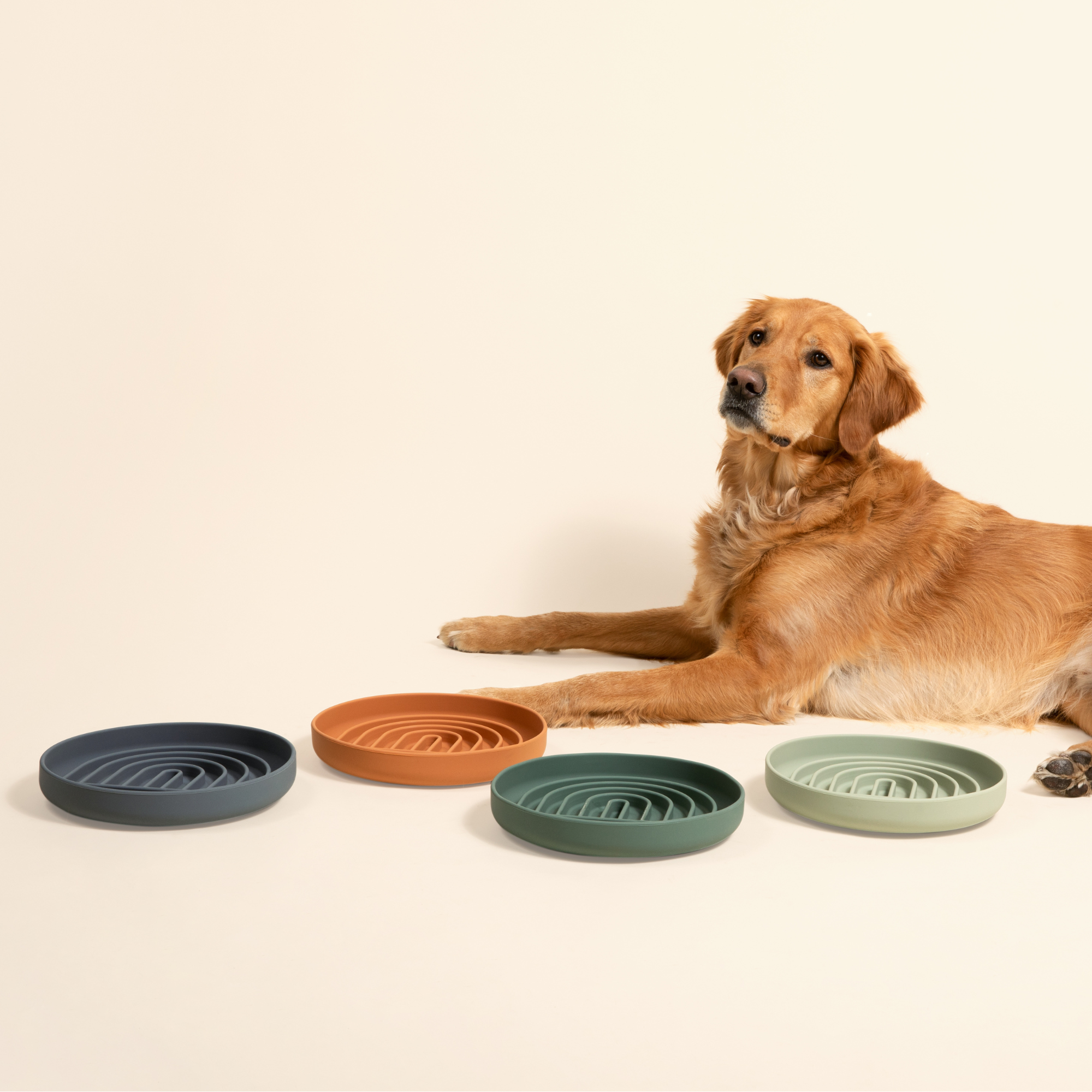 The Slowdown Bowl: Slow Feeder & Lick Mat