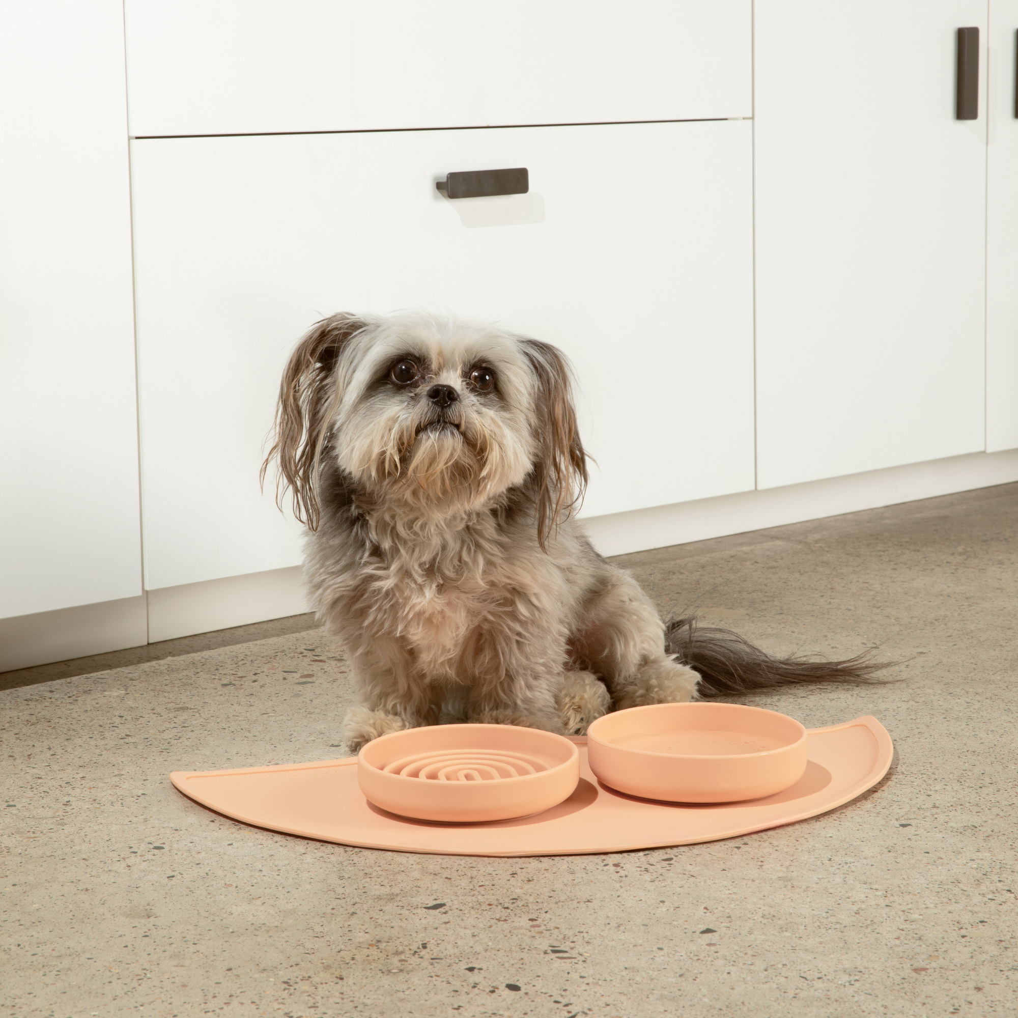 The Slowdown Bowl: Slow Feeder & Lick Mat
