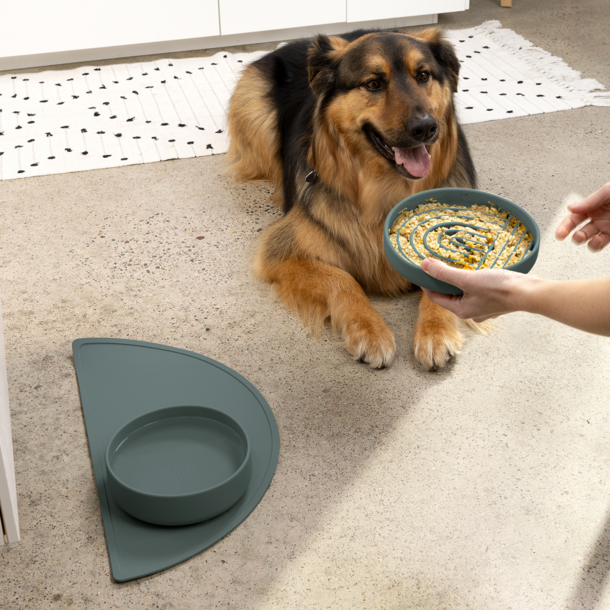The Perfect Dish
