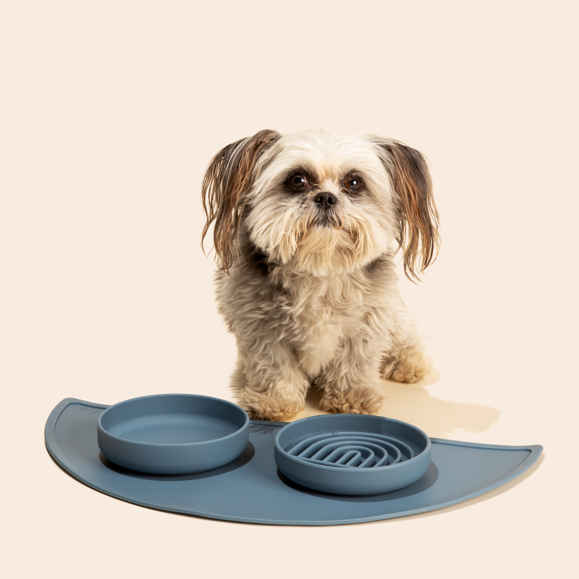 The Slowdown Bowl: Slow Feeder & Lick Mat