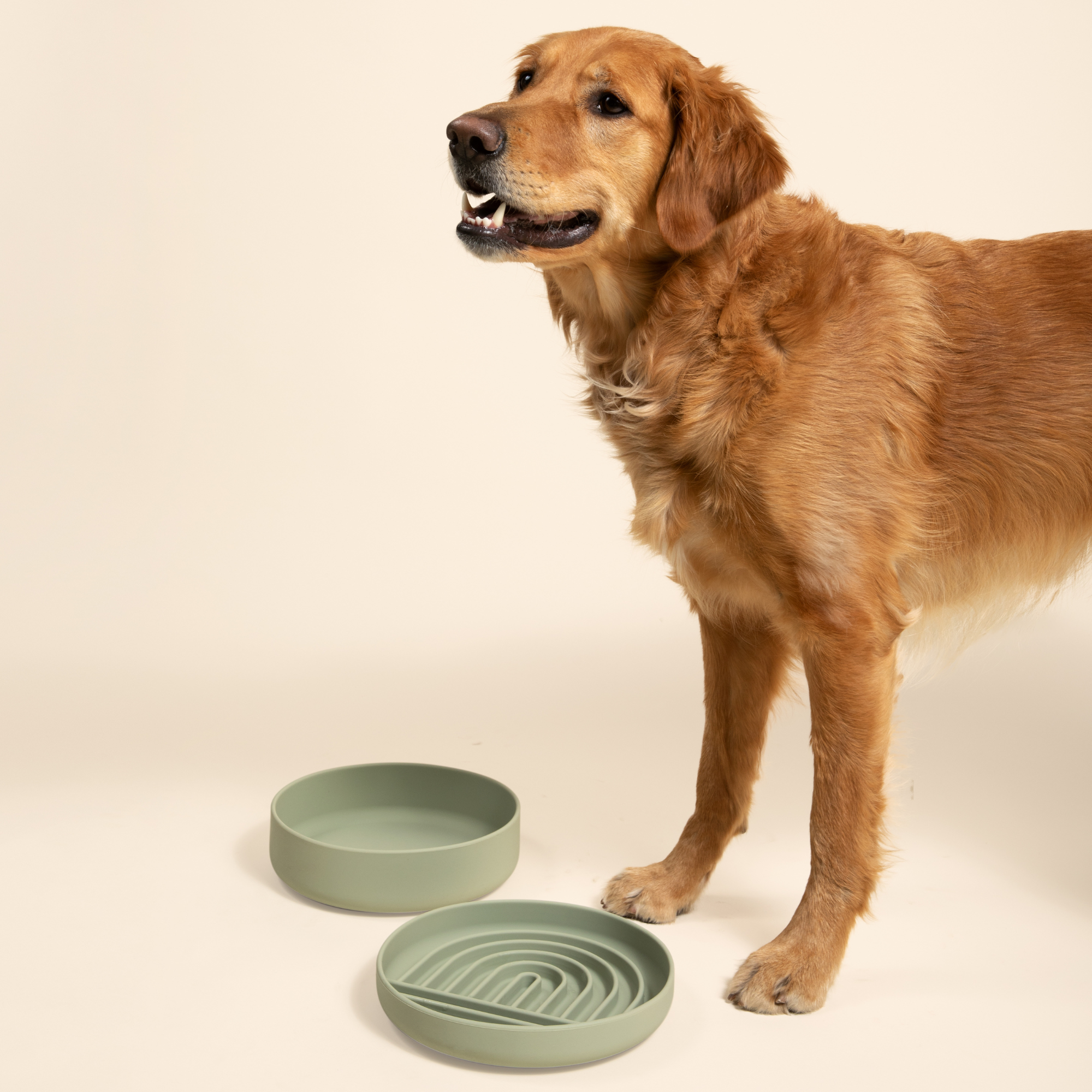 The Small Slow Feeding Set