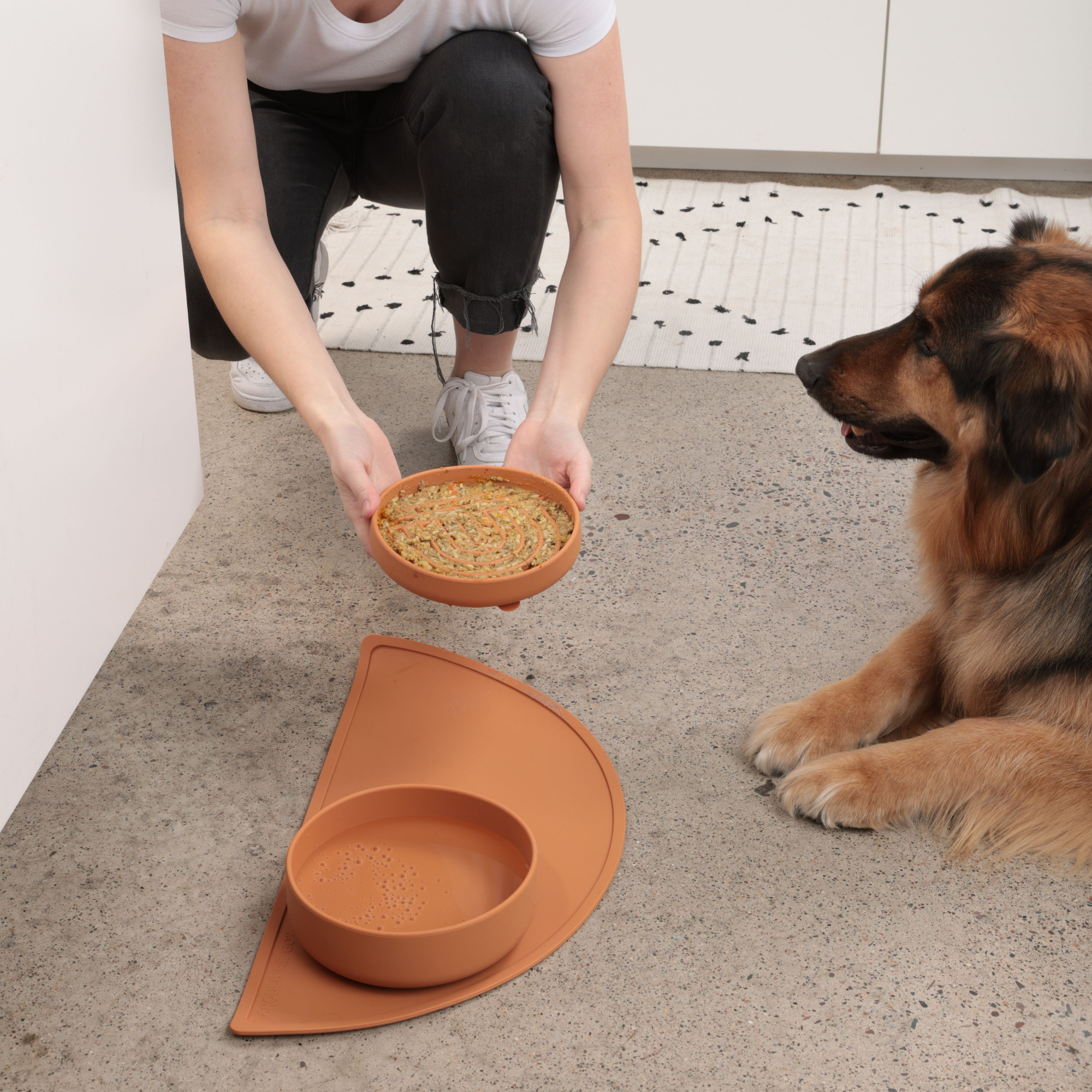 The Perfect Dish