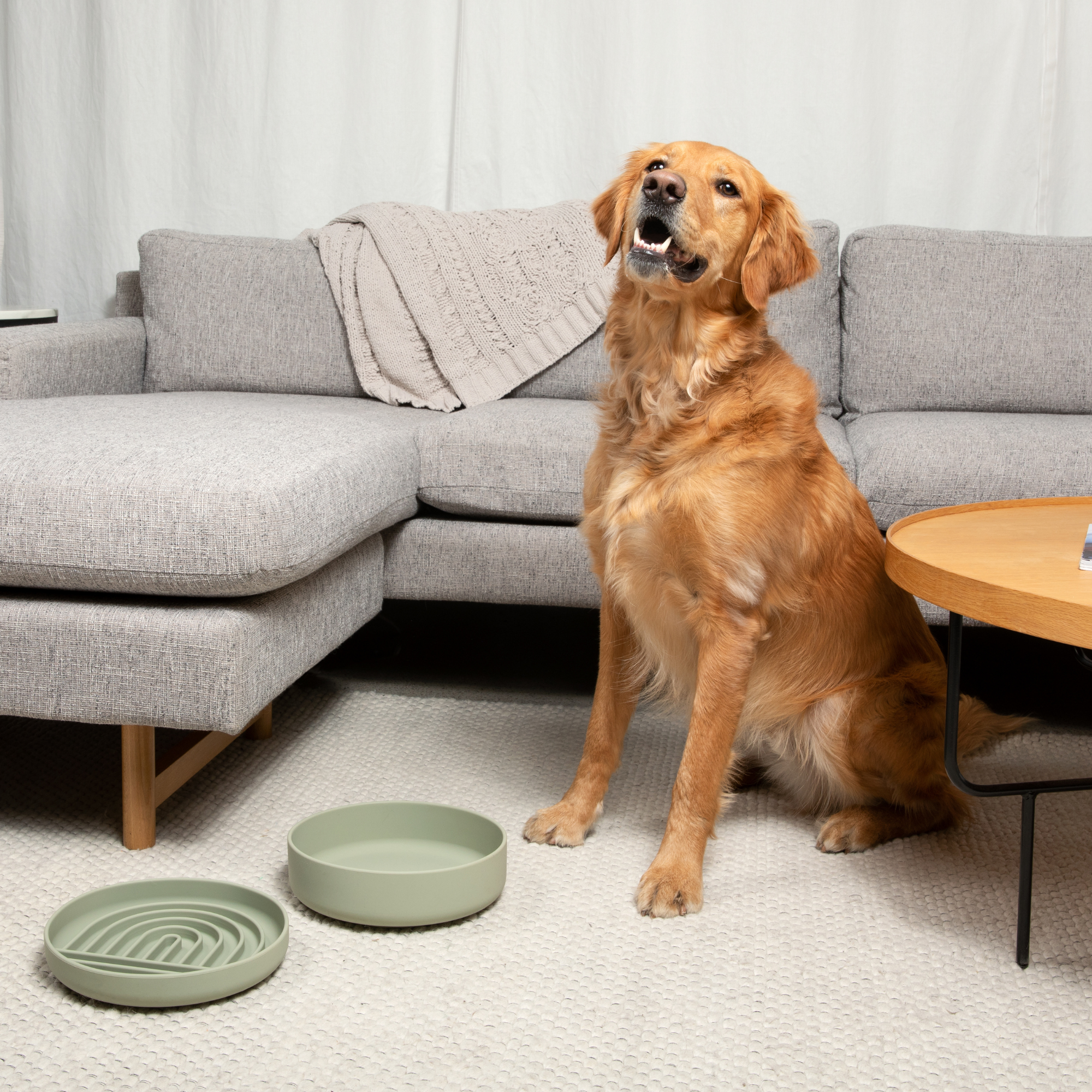 The Slowdown Bowl: Slow Feeder & Lick Mat