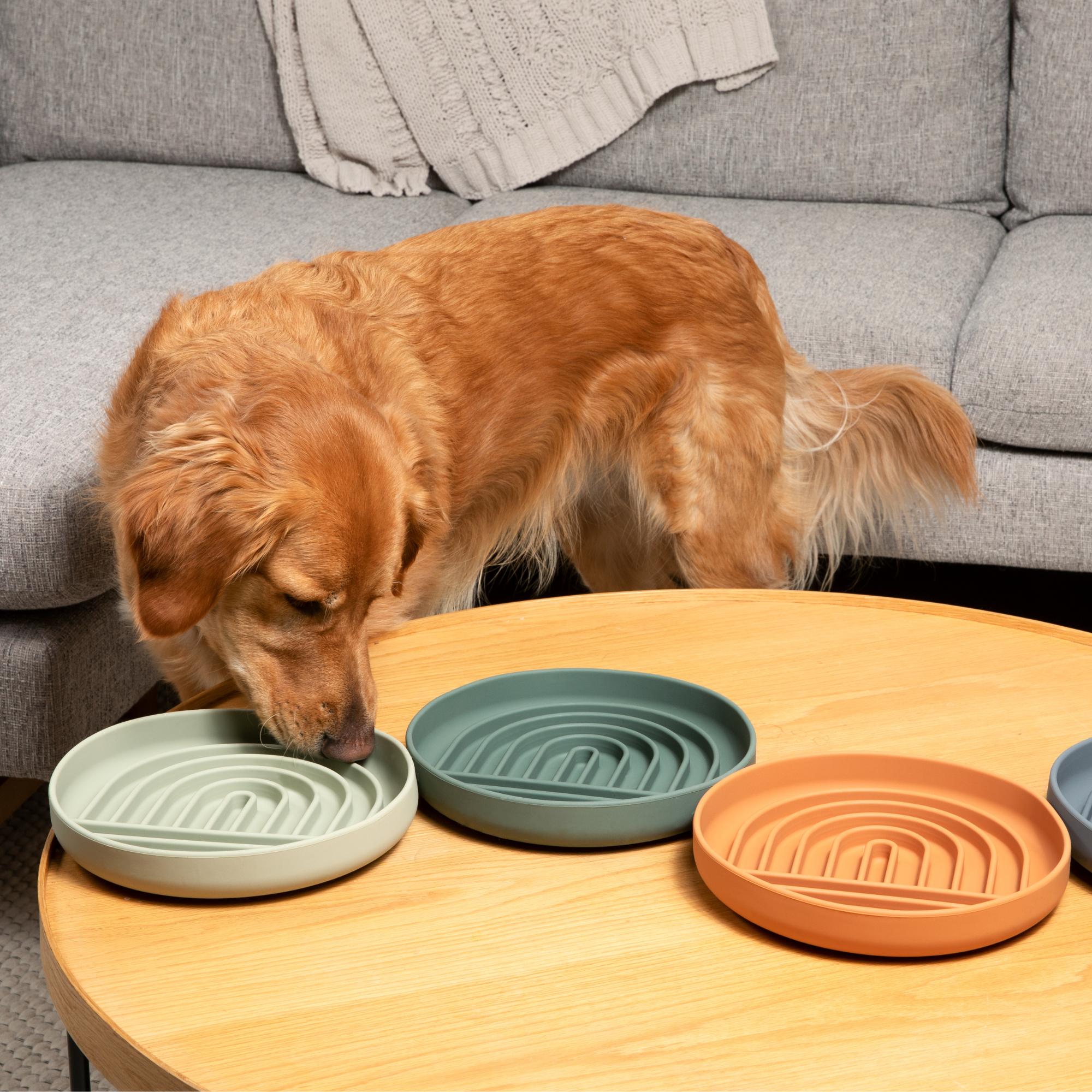 The Slowdown Bowl: Slow Feeder & Lick Mat
