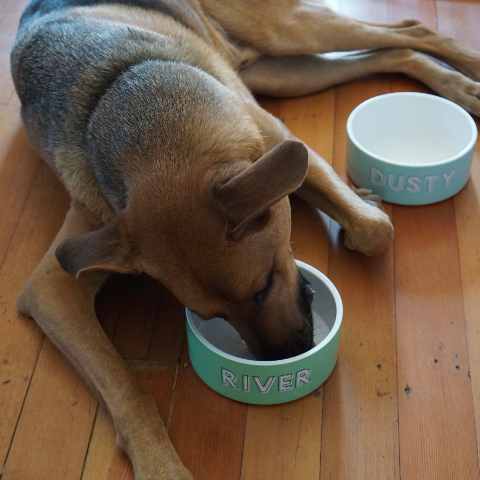 Custom Solid Color Dog Bowl (Arctic Blue)