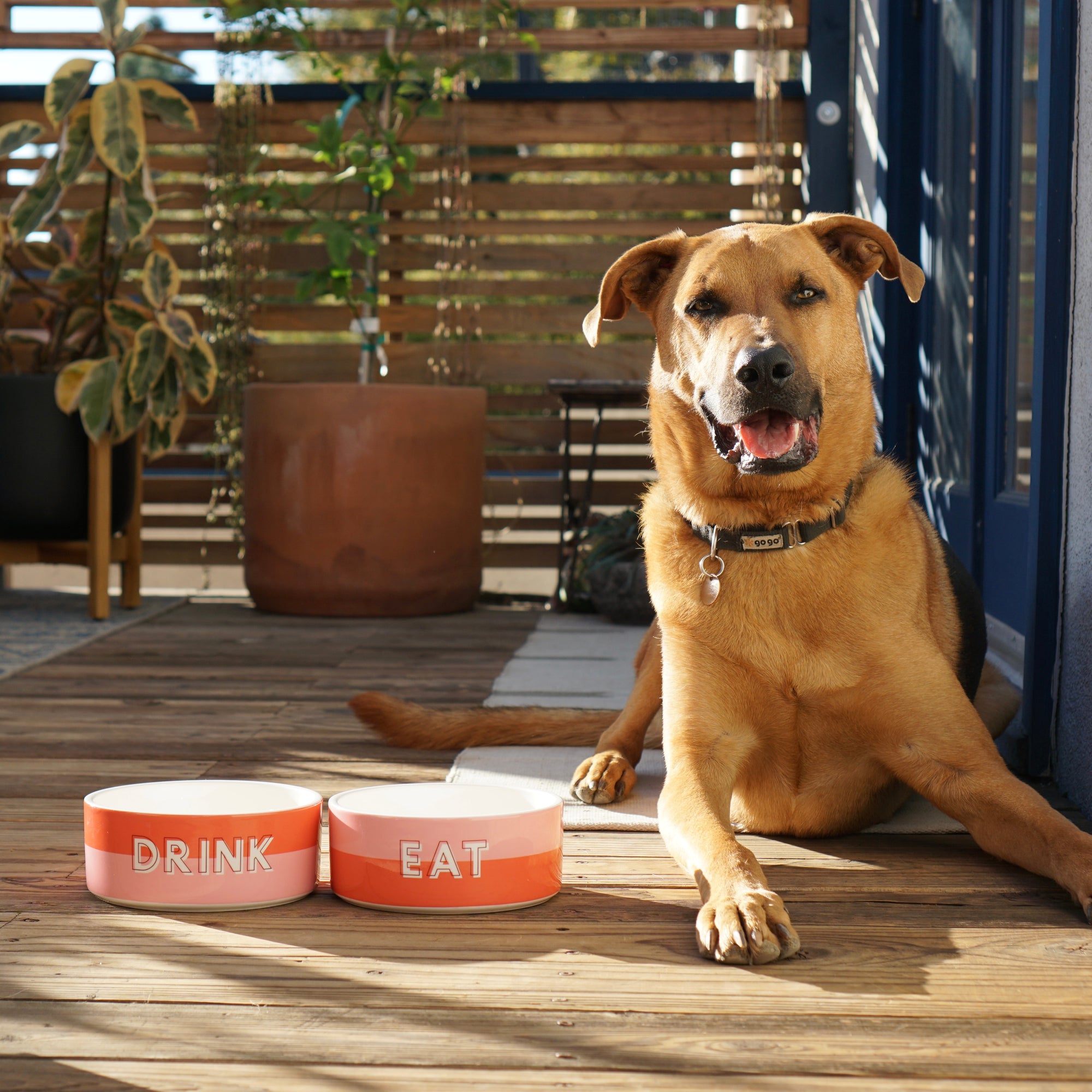 Custom Color Duo Dog Bowl (Coral / Millennial Pink)