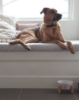 Elevated Bamboo Dog Bowl Stand
