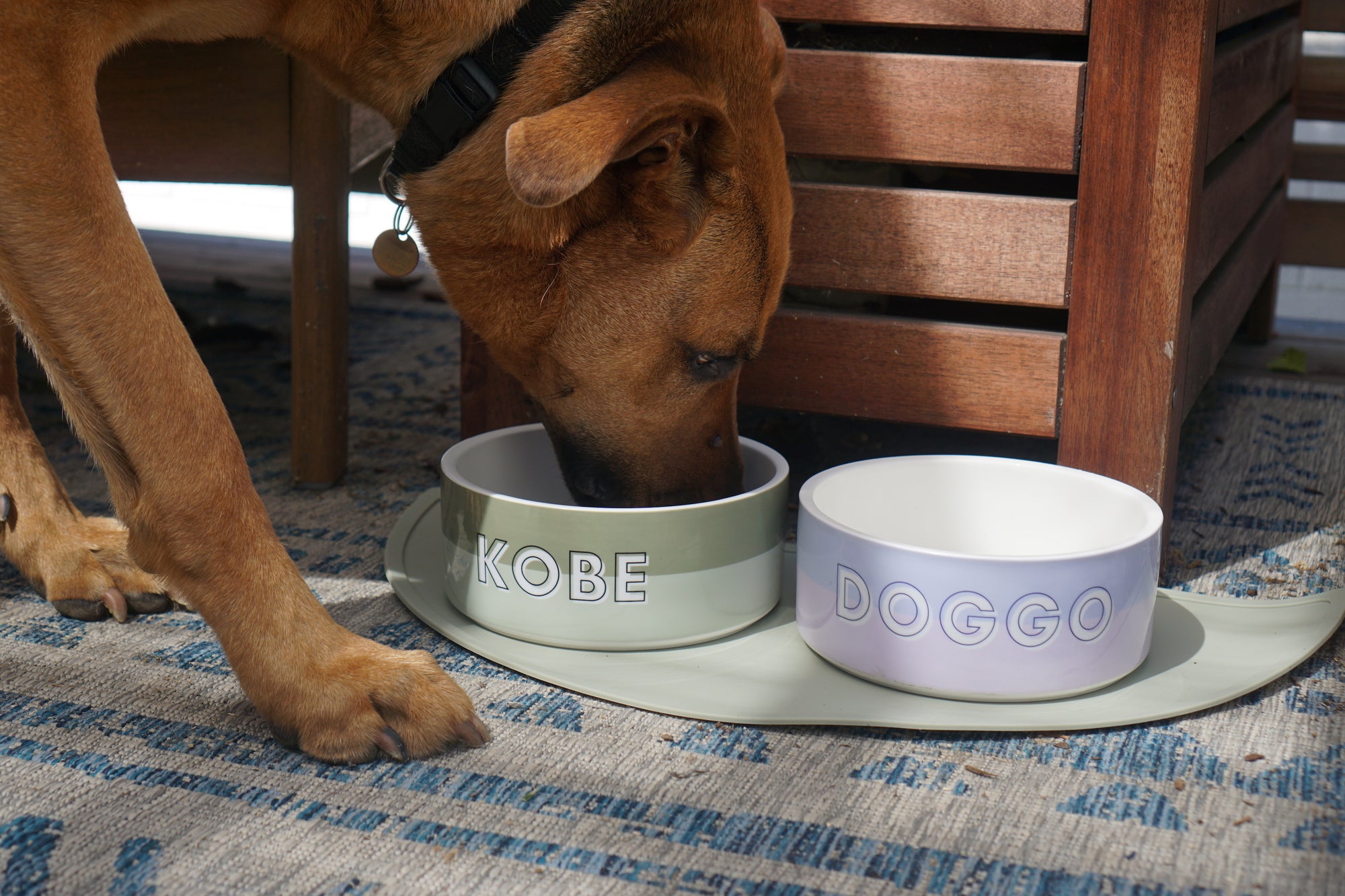 Custom Color Duo Dog Bowl (Sage / Artichoke)