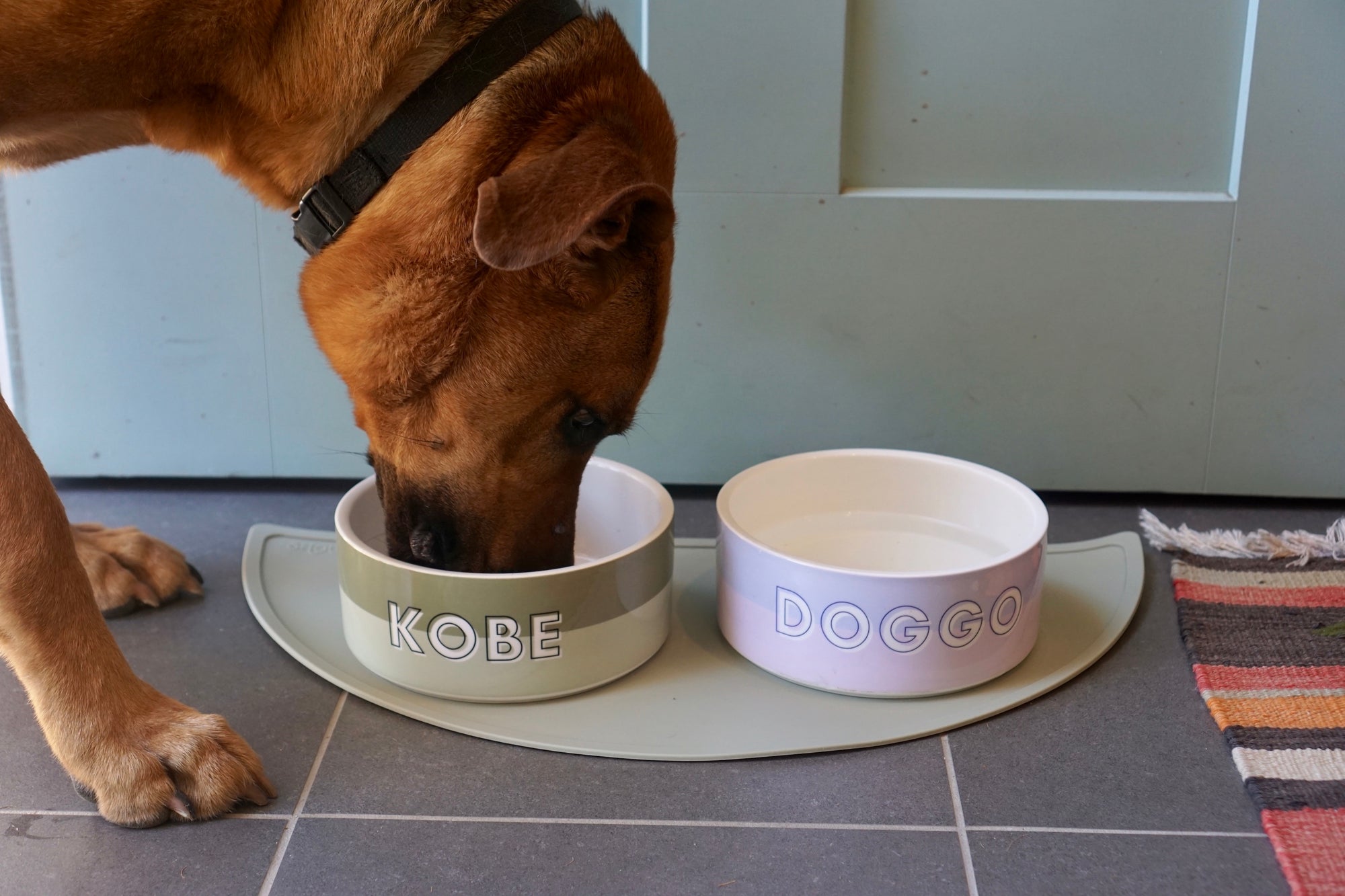 Custom Color Duo Dog Bowl (Sage / Artichoke)