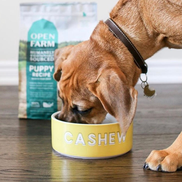 Custom Solid Color Dog Bowl