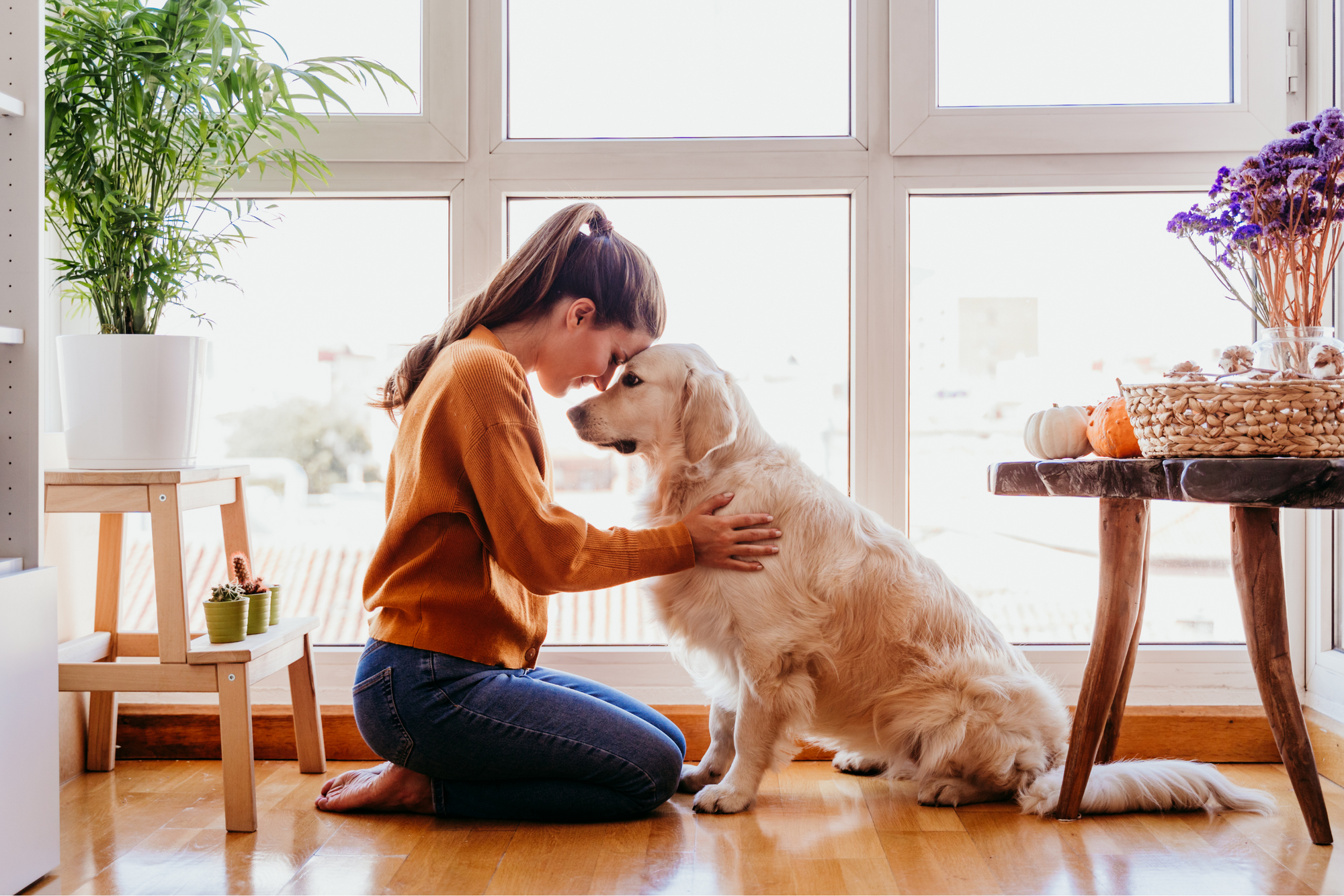 Your Dog Is Trying To Bond With You In This Very Human Way