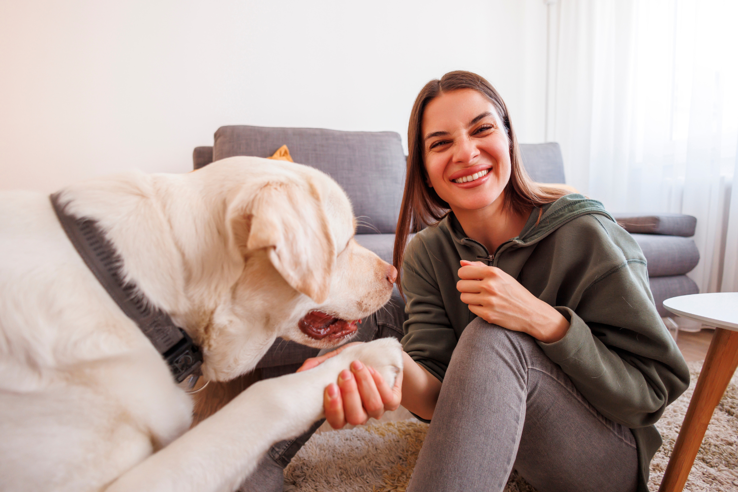 Little-Known Things You Can Teach Your Dog That Make a Huge Difference
