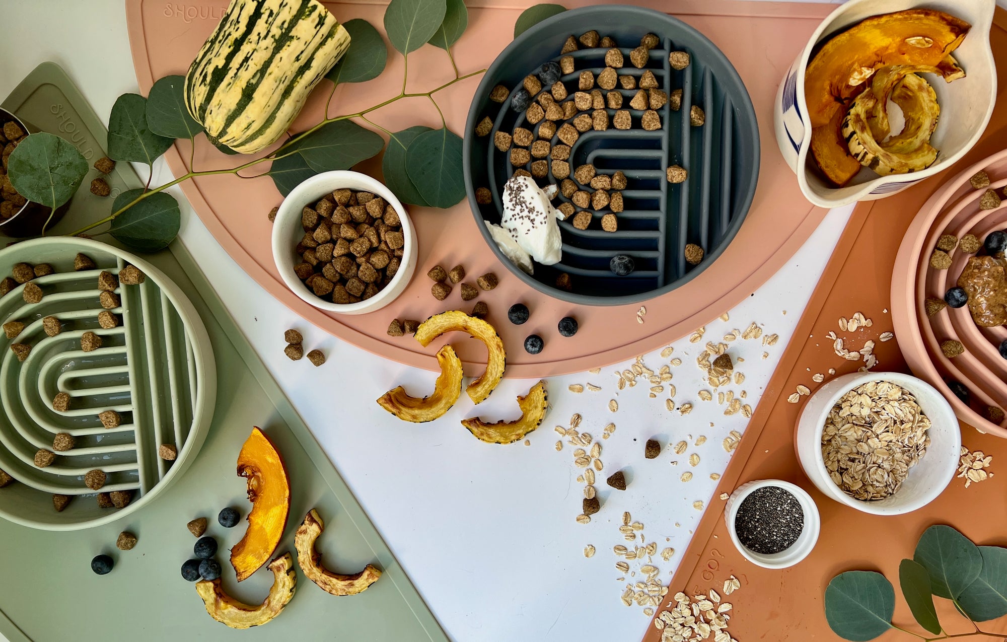 Fall Superfoods To Add To Your Pup’s Bowl ASAP