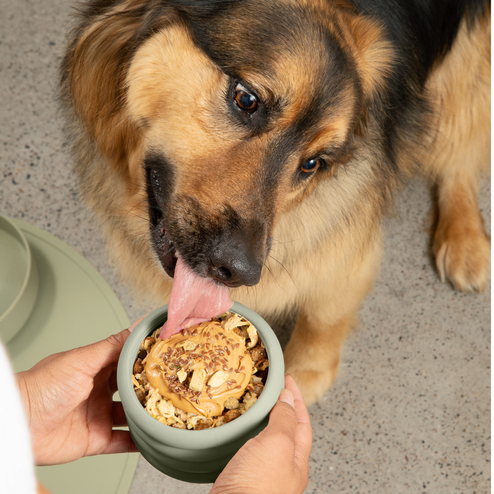 The Ripple Cup: Slow Feeder Enrichment Toy