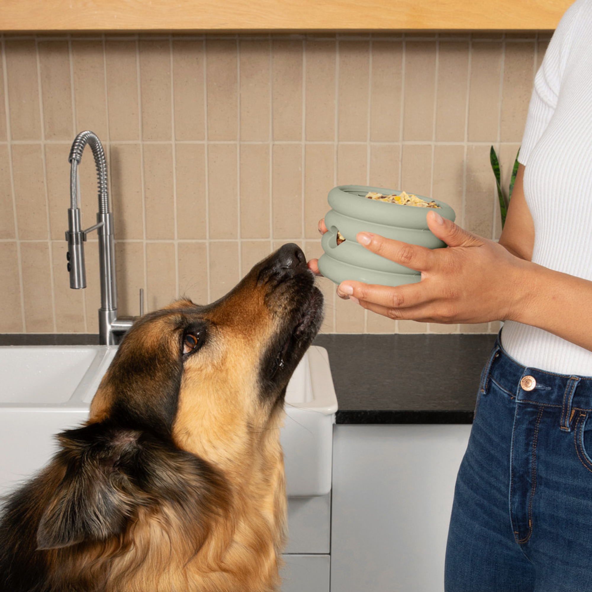 The Ripple Cup: Slow Feeder Enrichment Toy